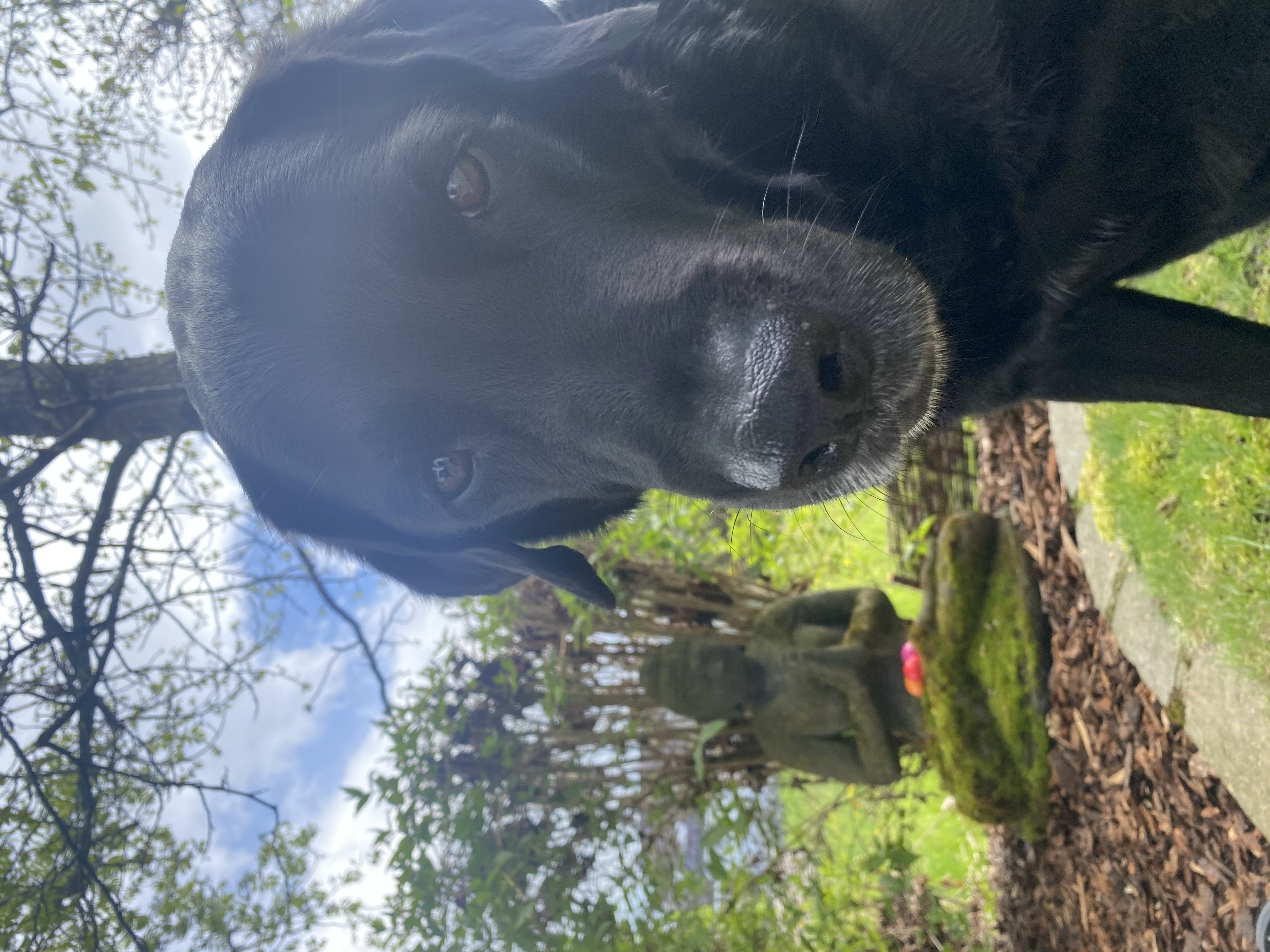 image-6