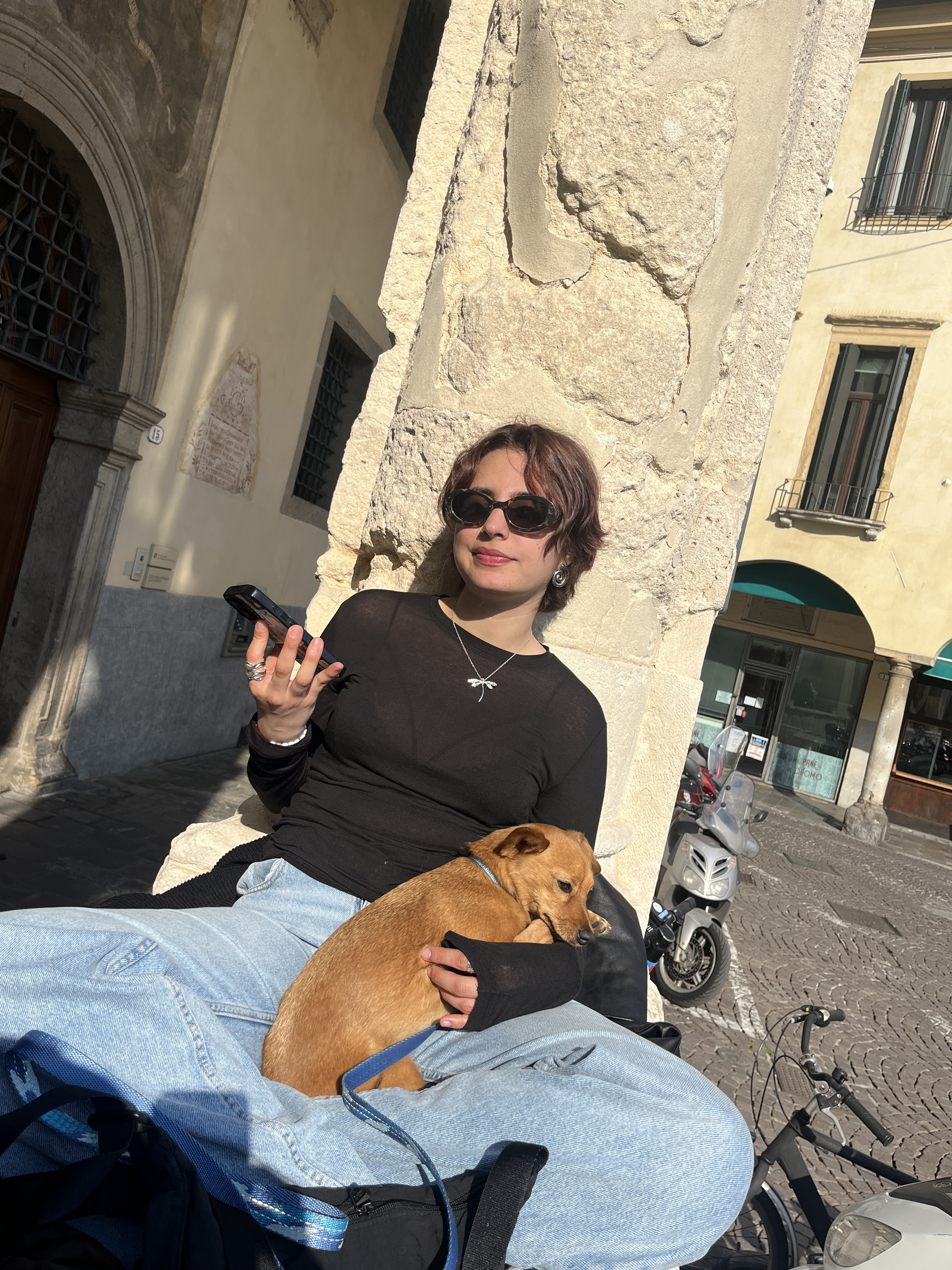 image-6
