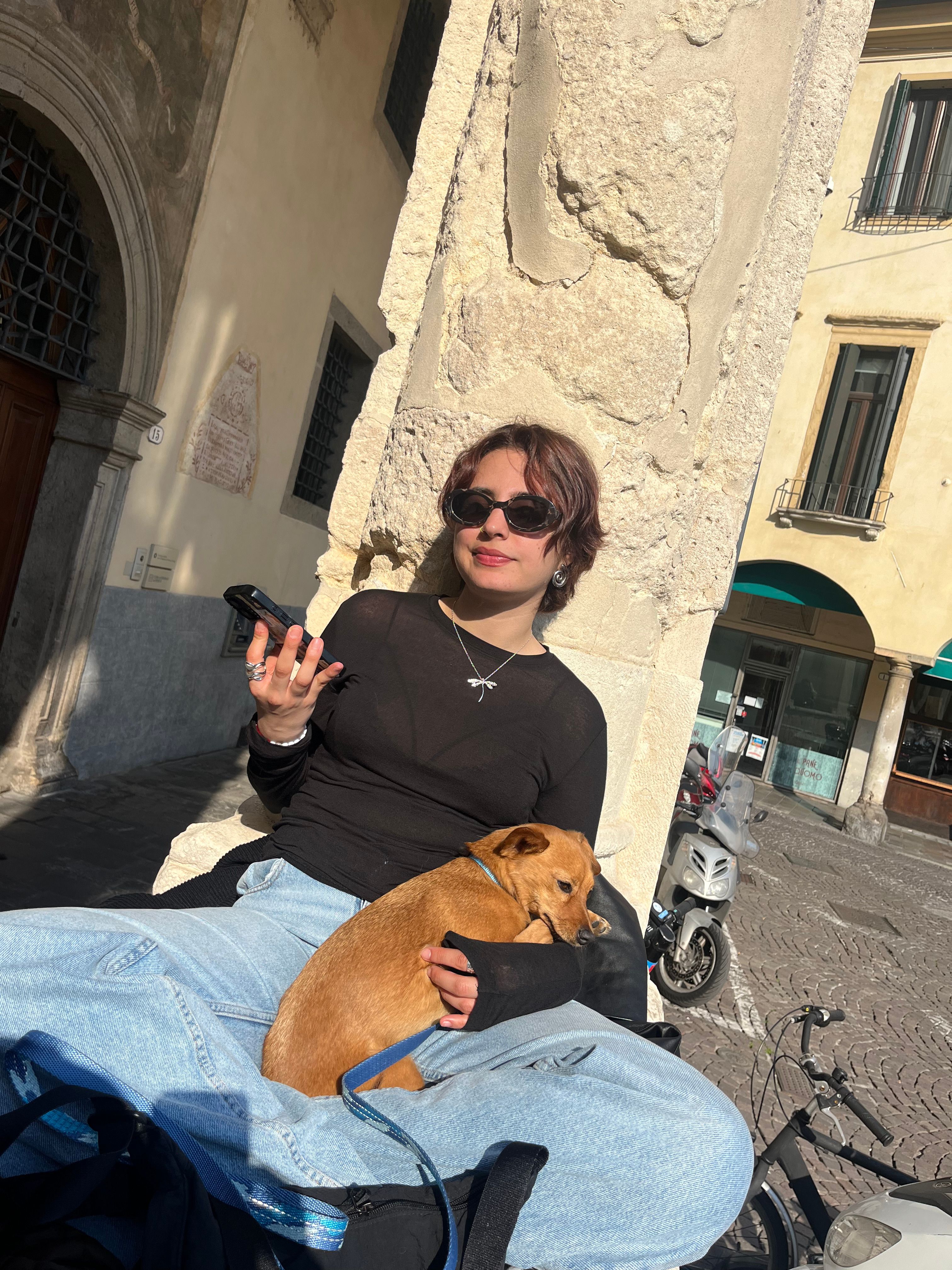 image-6