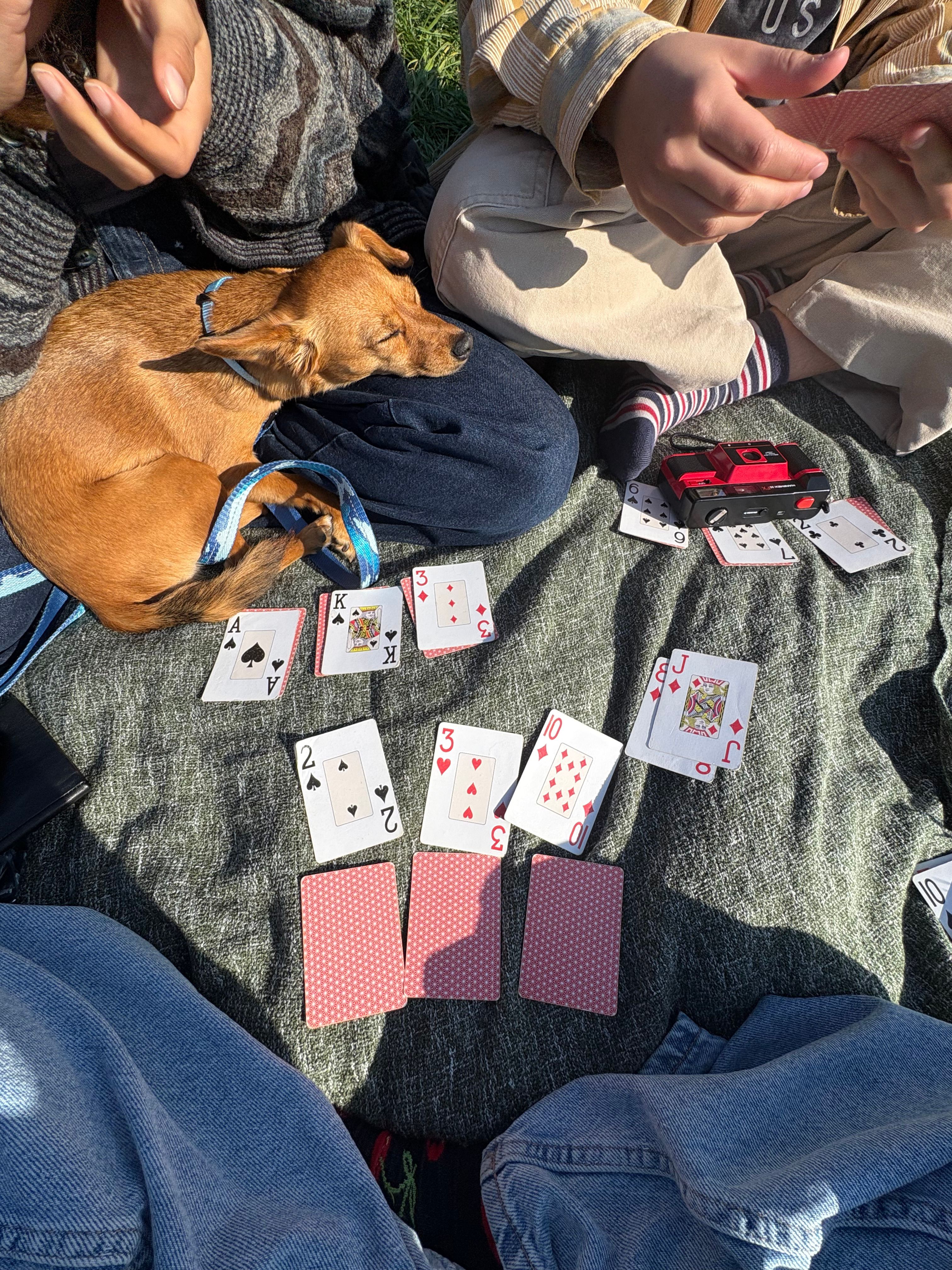 image-8