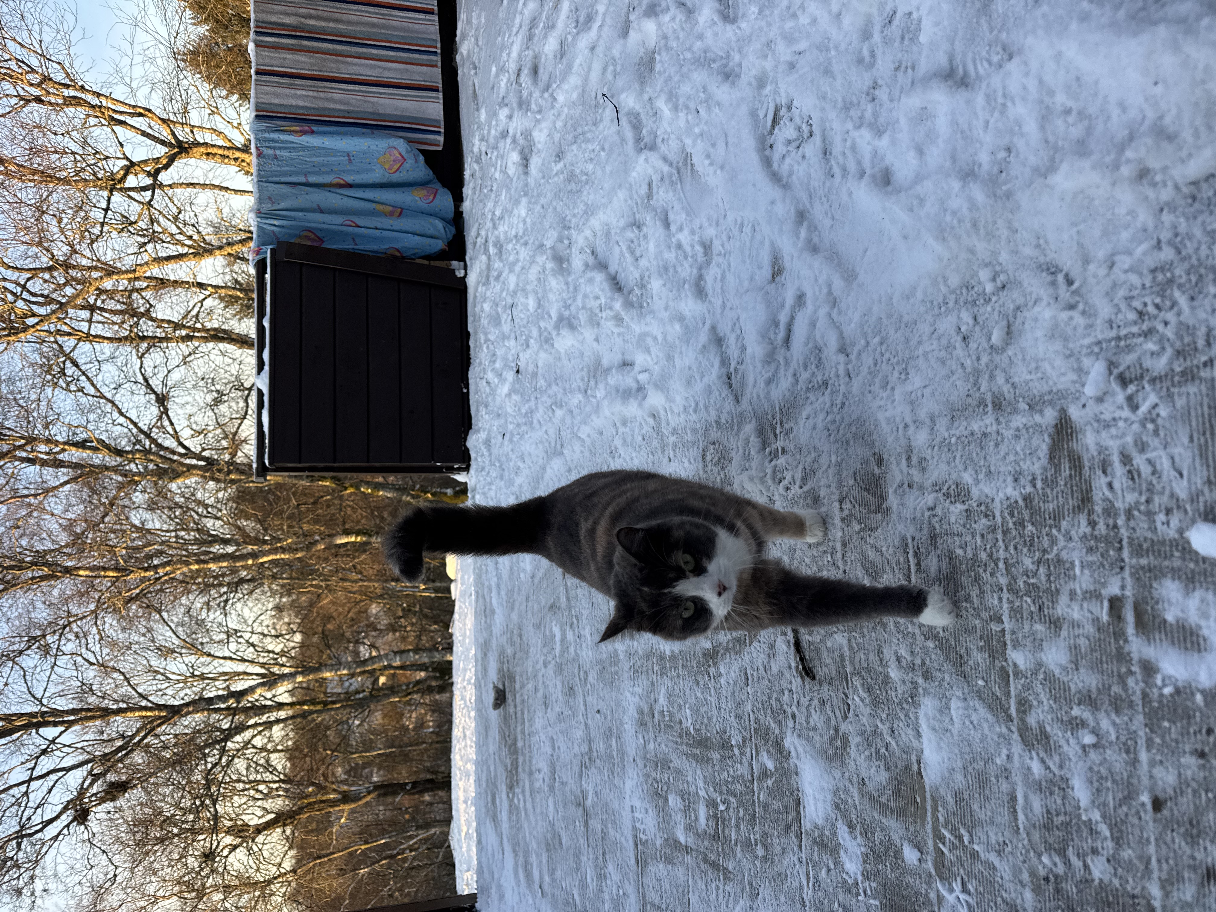 image-6