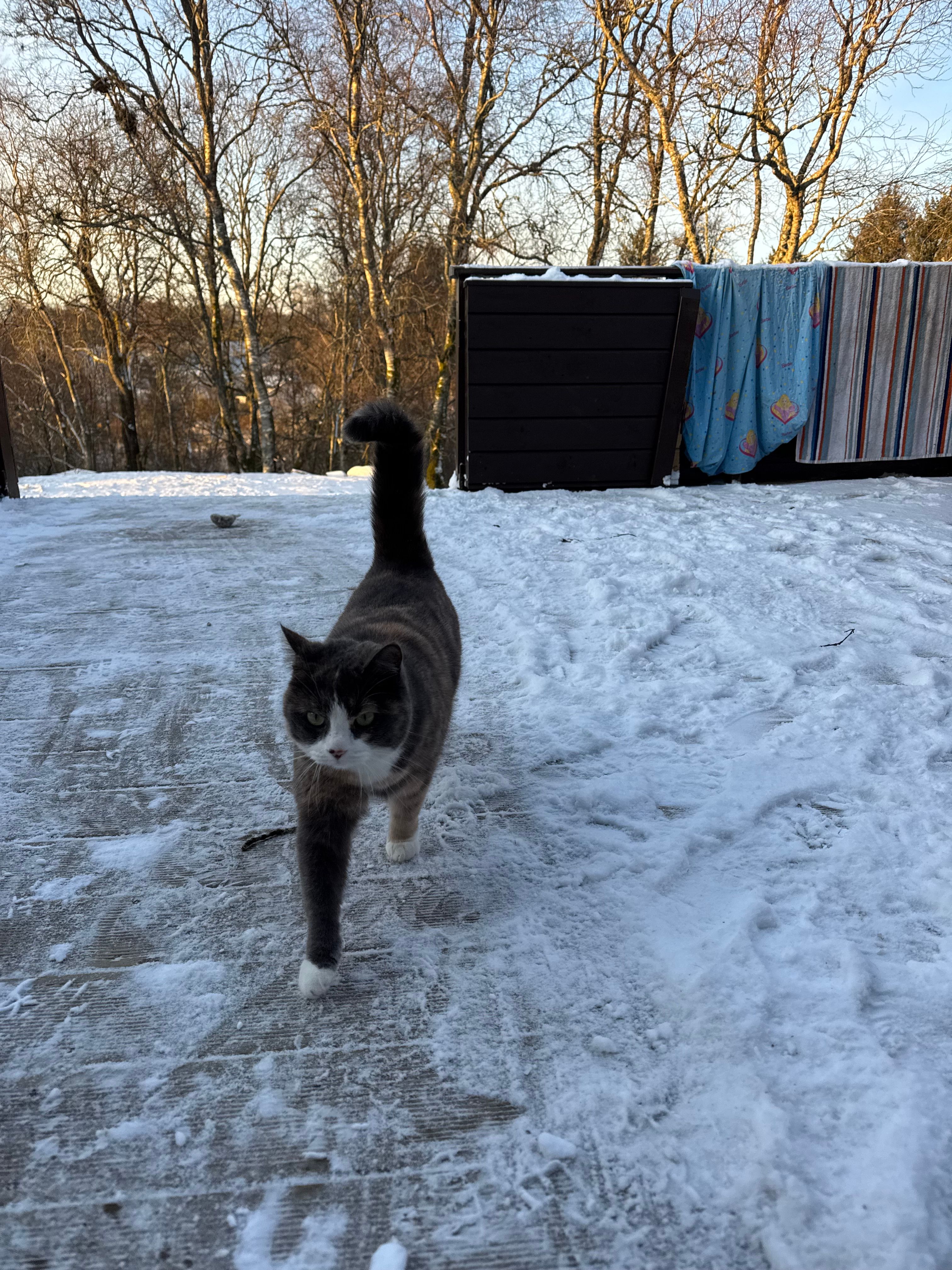 image-6