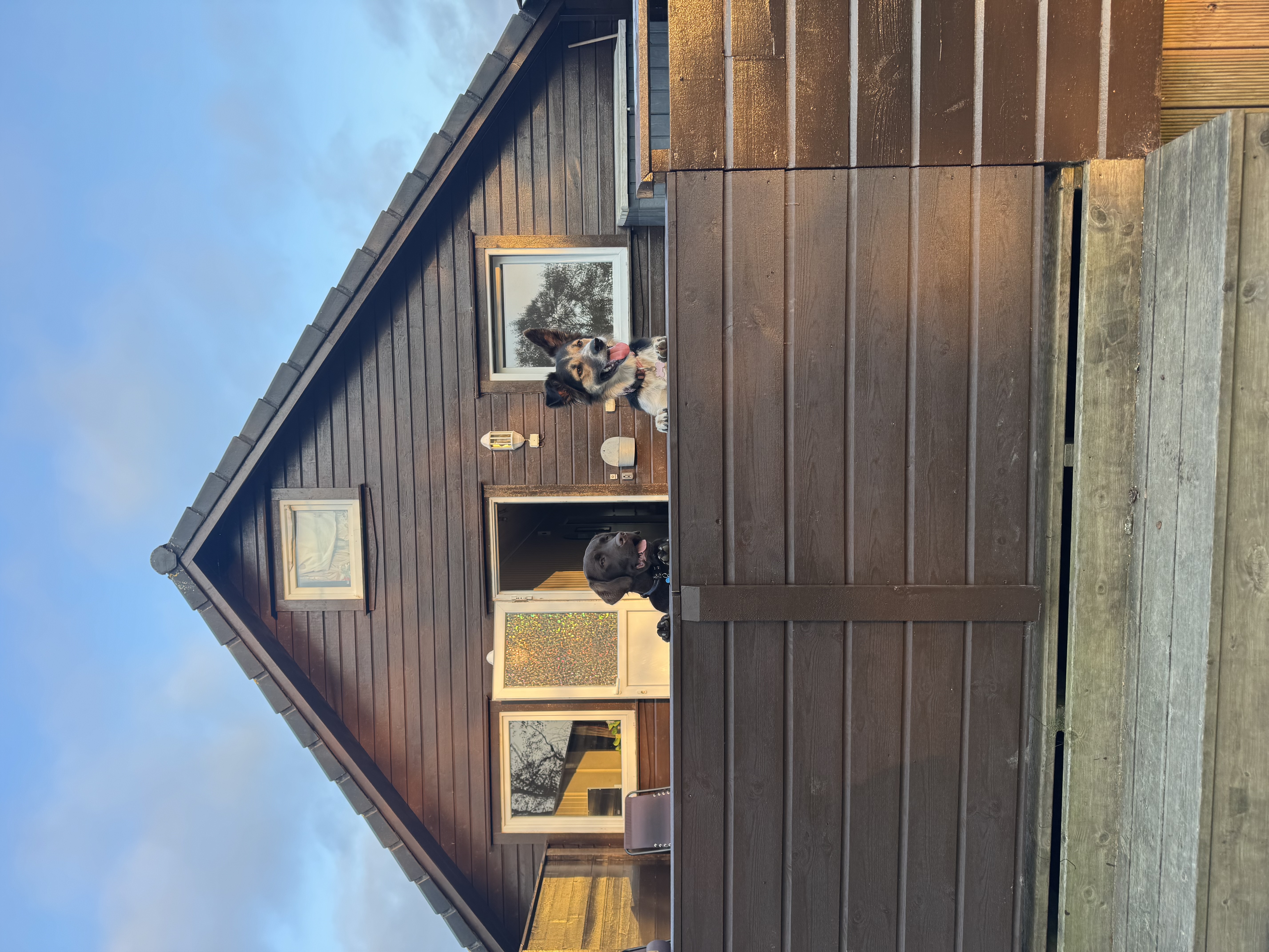image-14