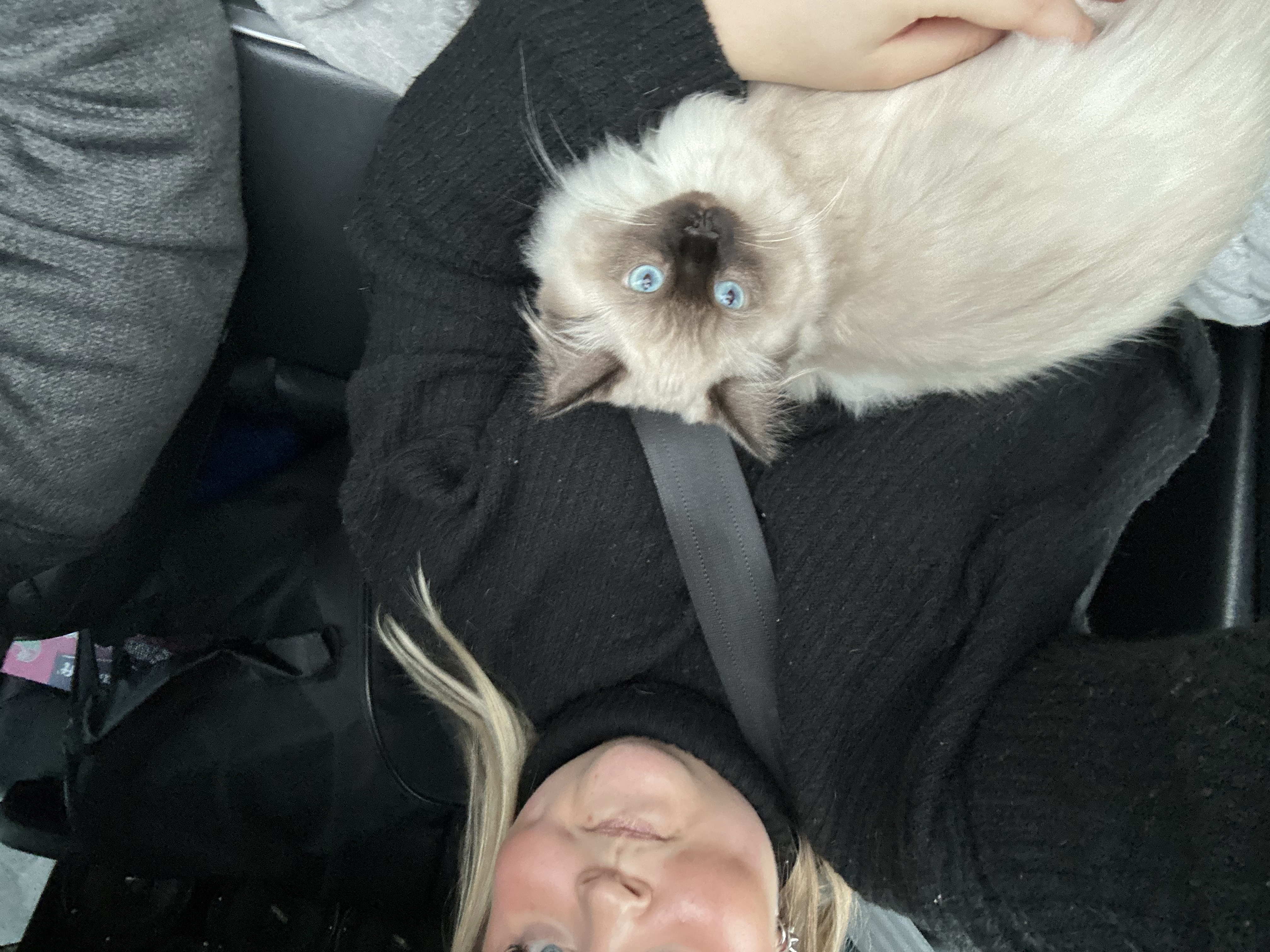 image-7