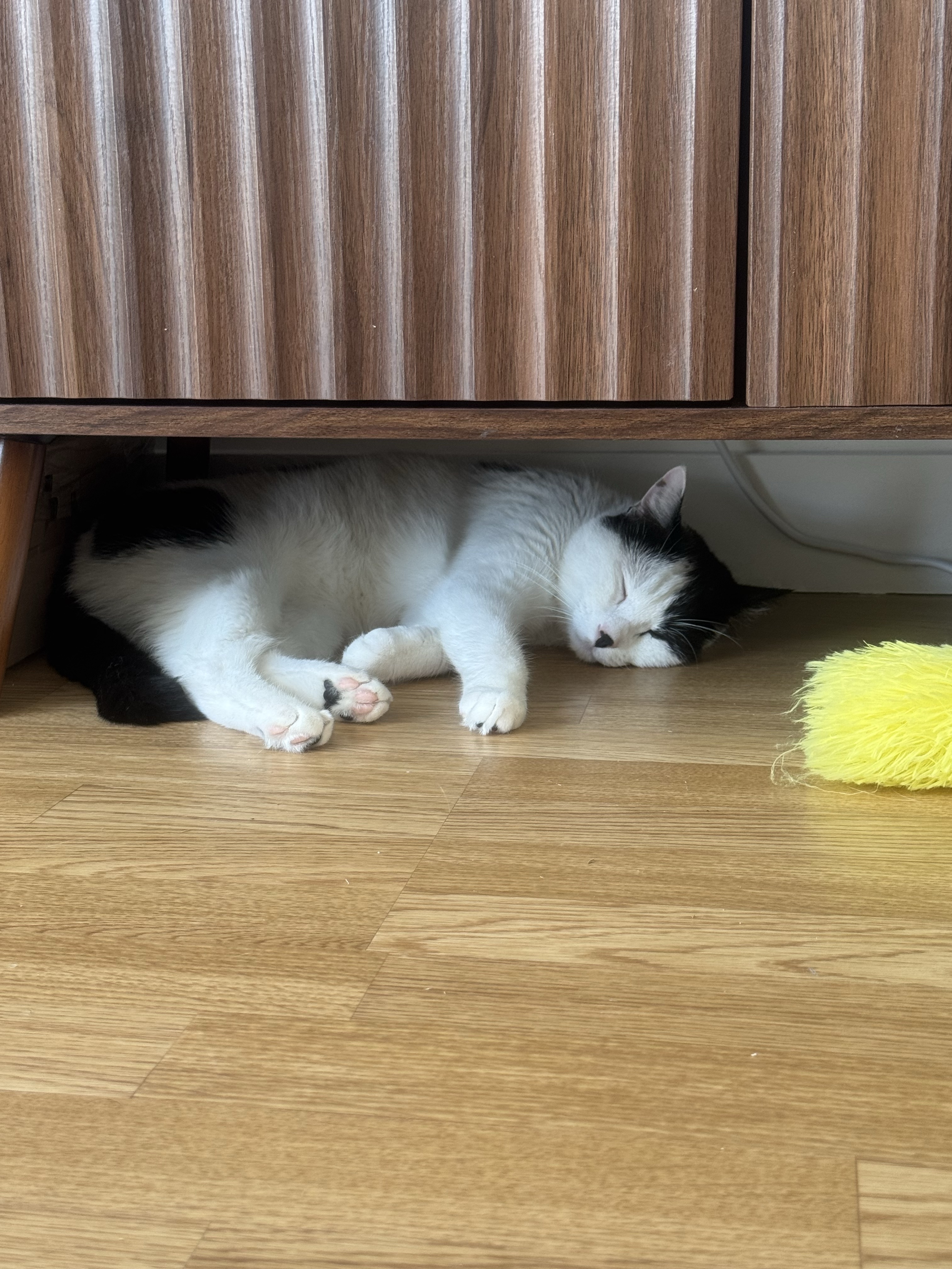 image-6
