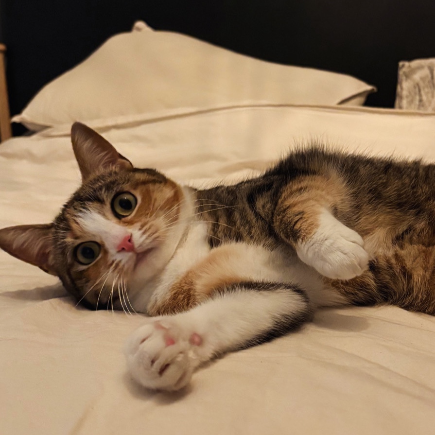 Petit