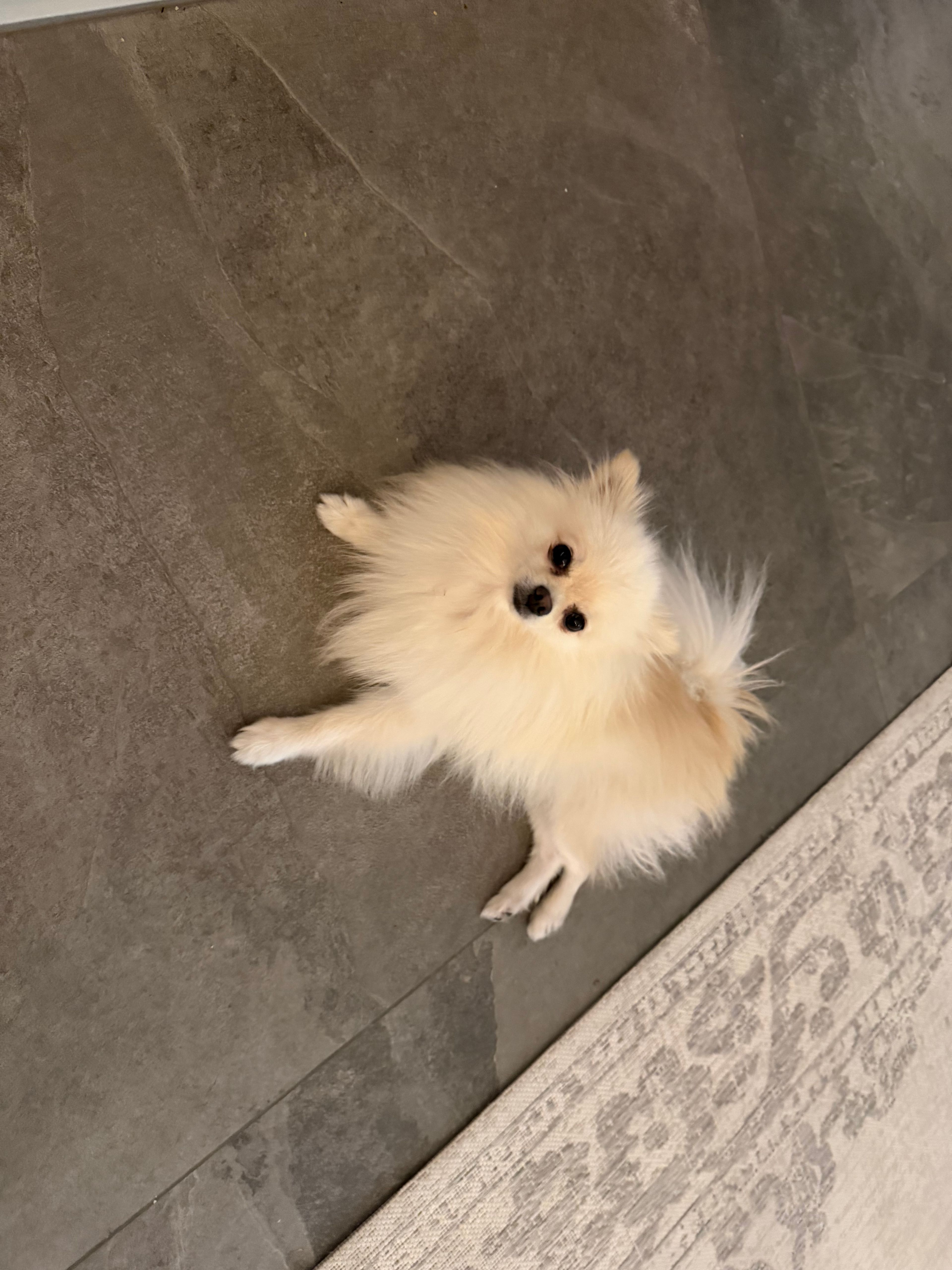 image-9
