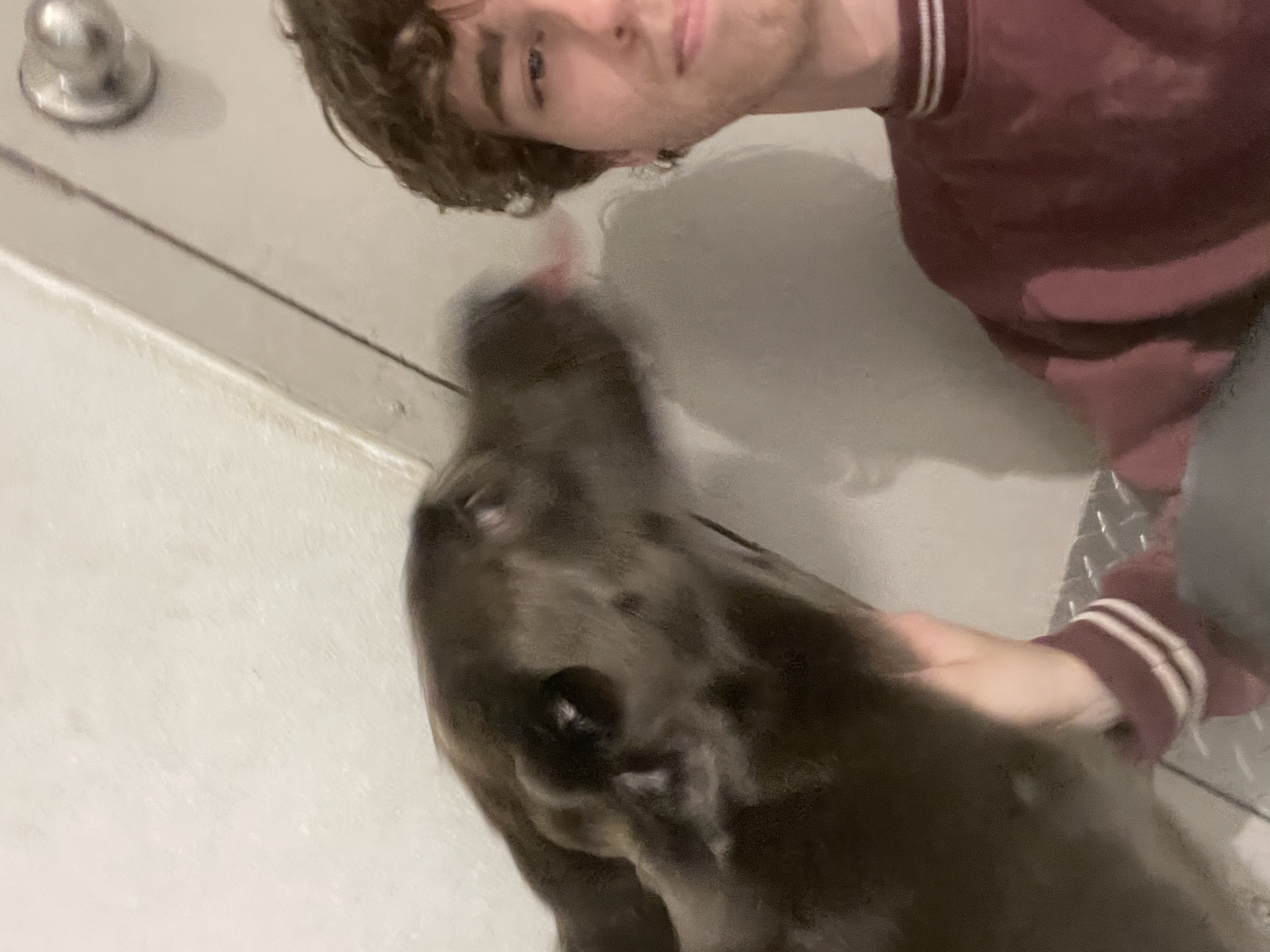 image-8