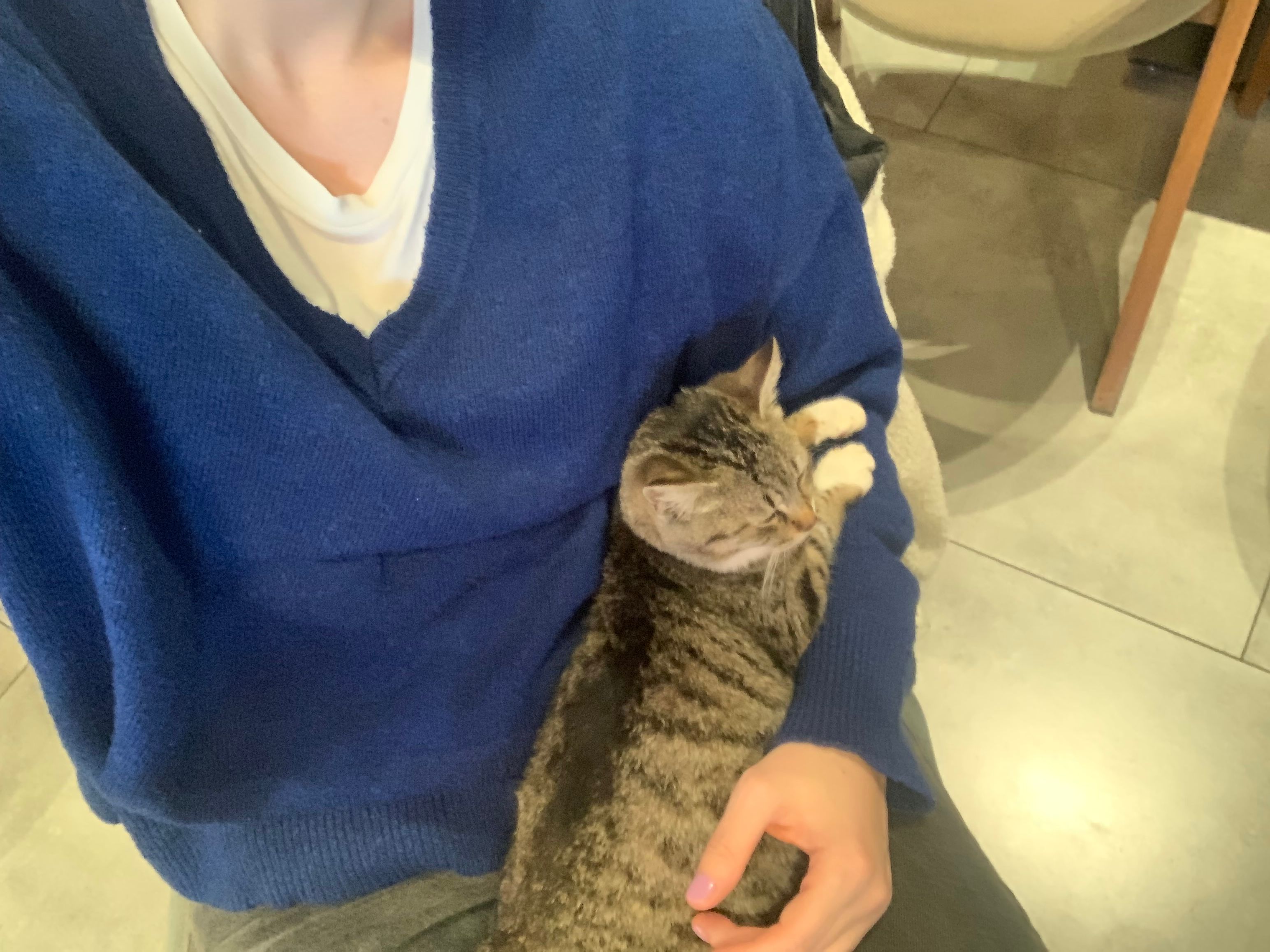 image-11