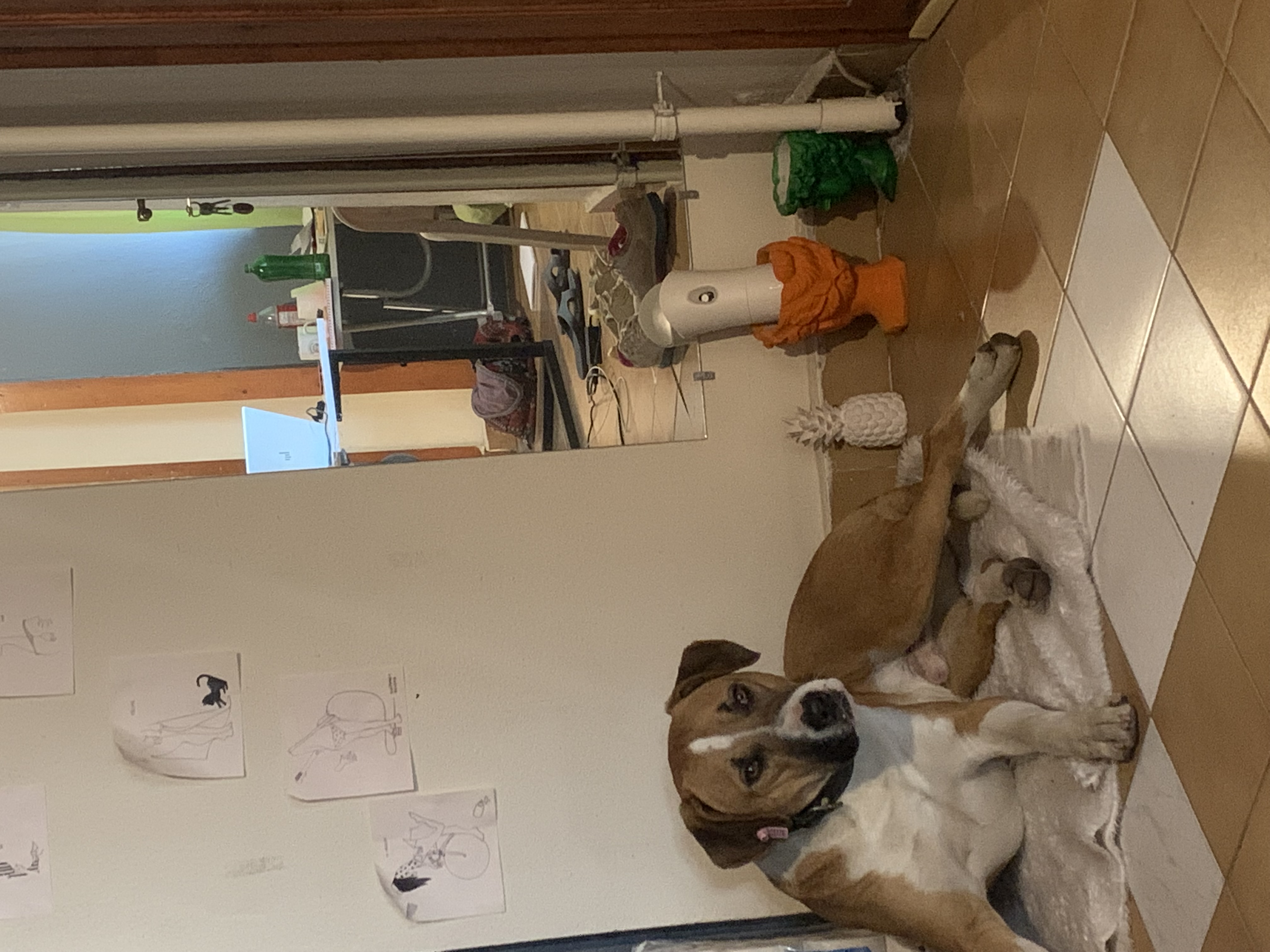 image-7