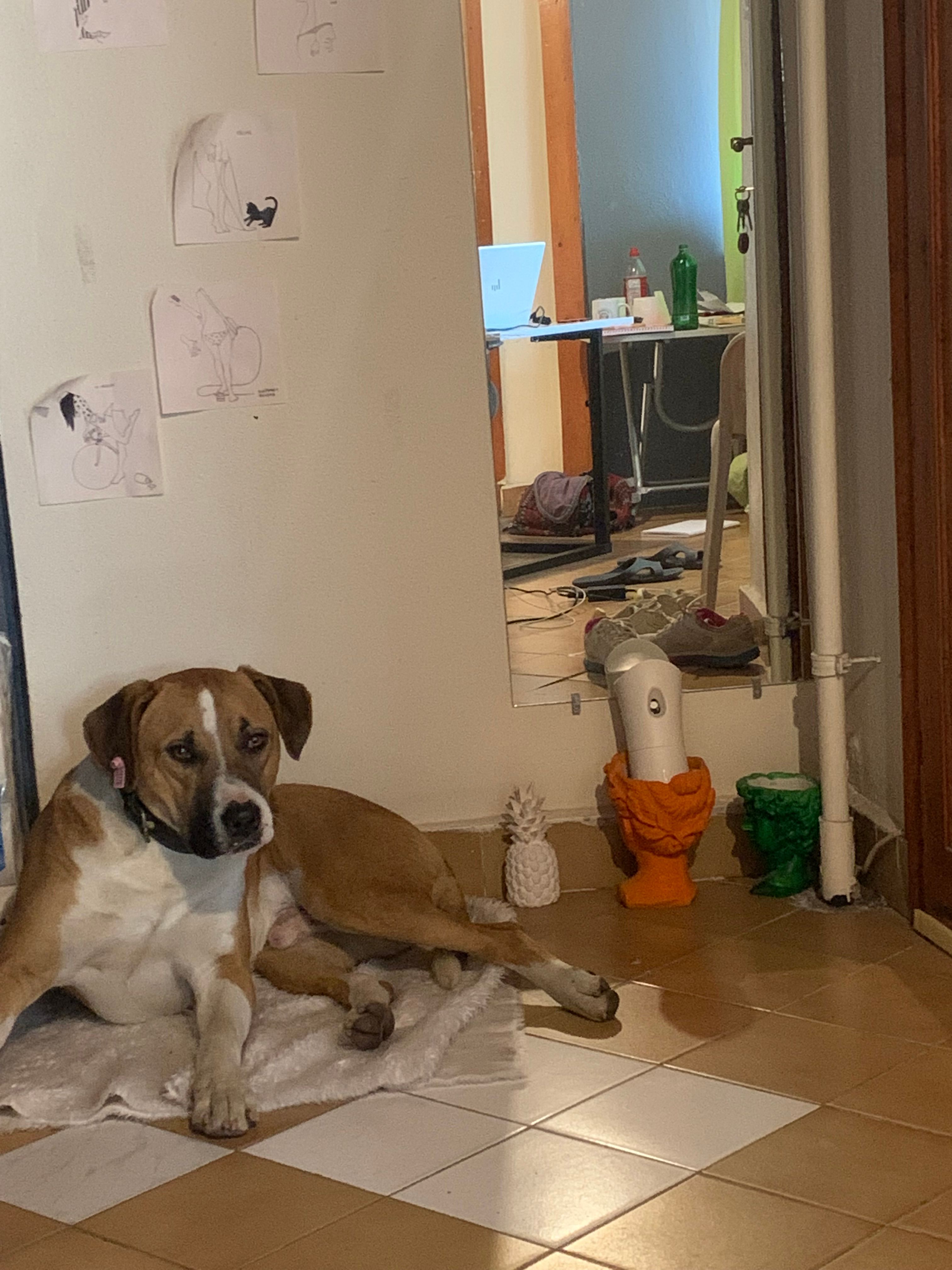 image-7