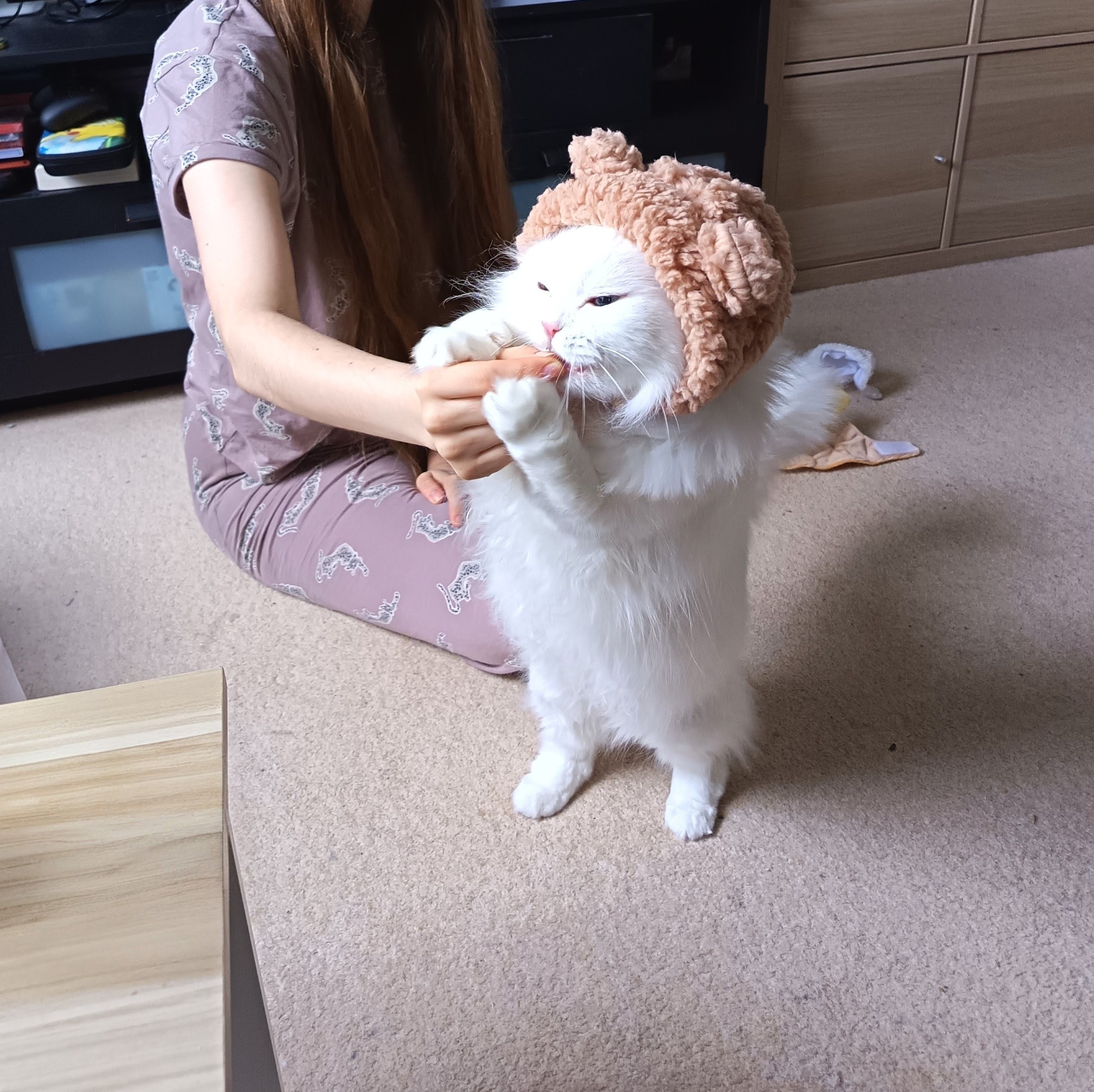 image-12