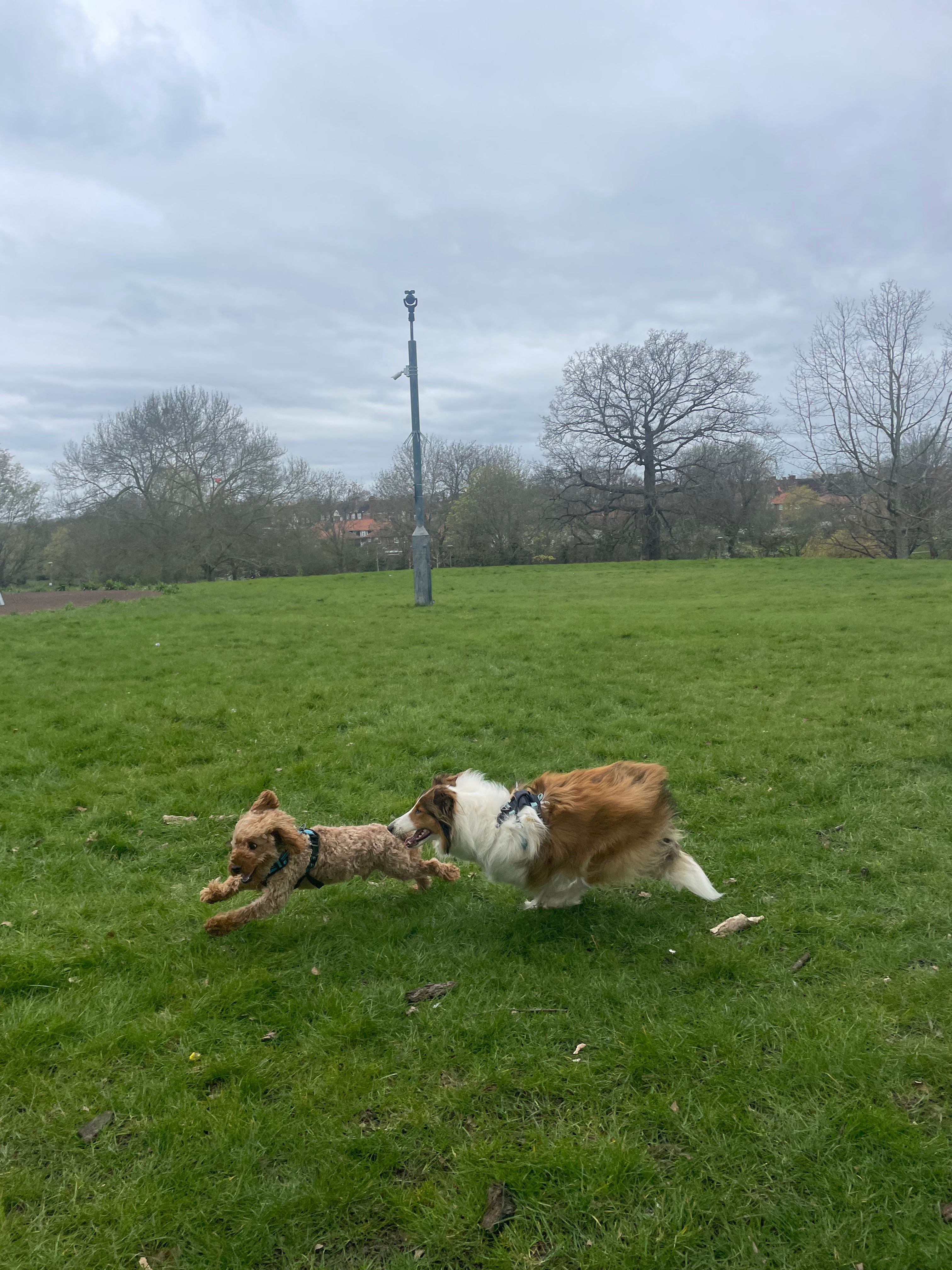 image-13