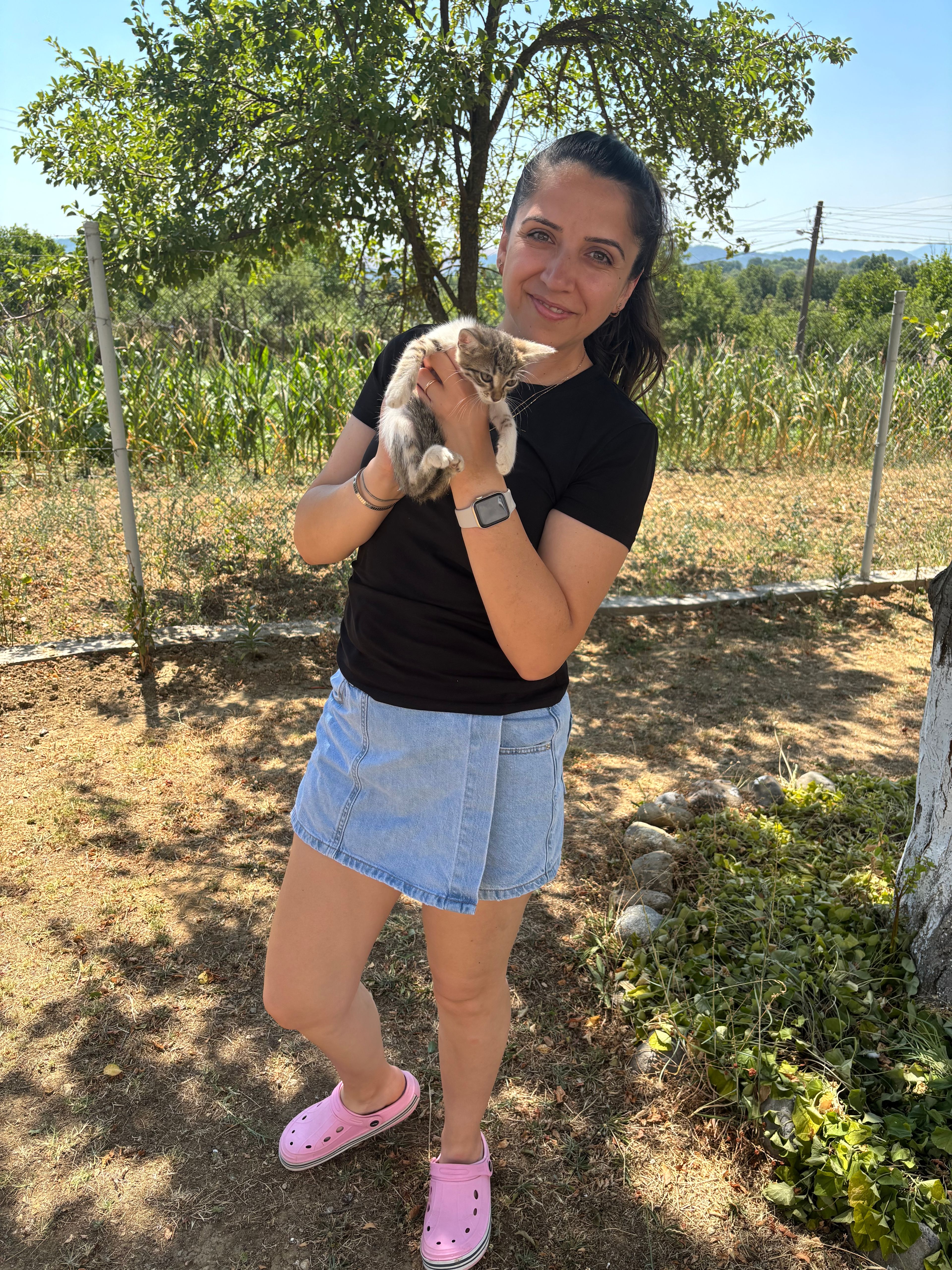 image-6