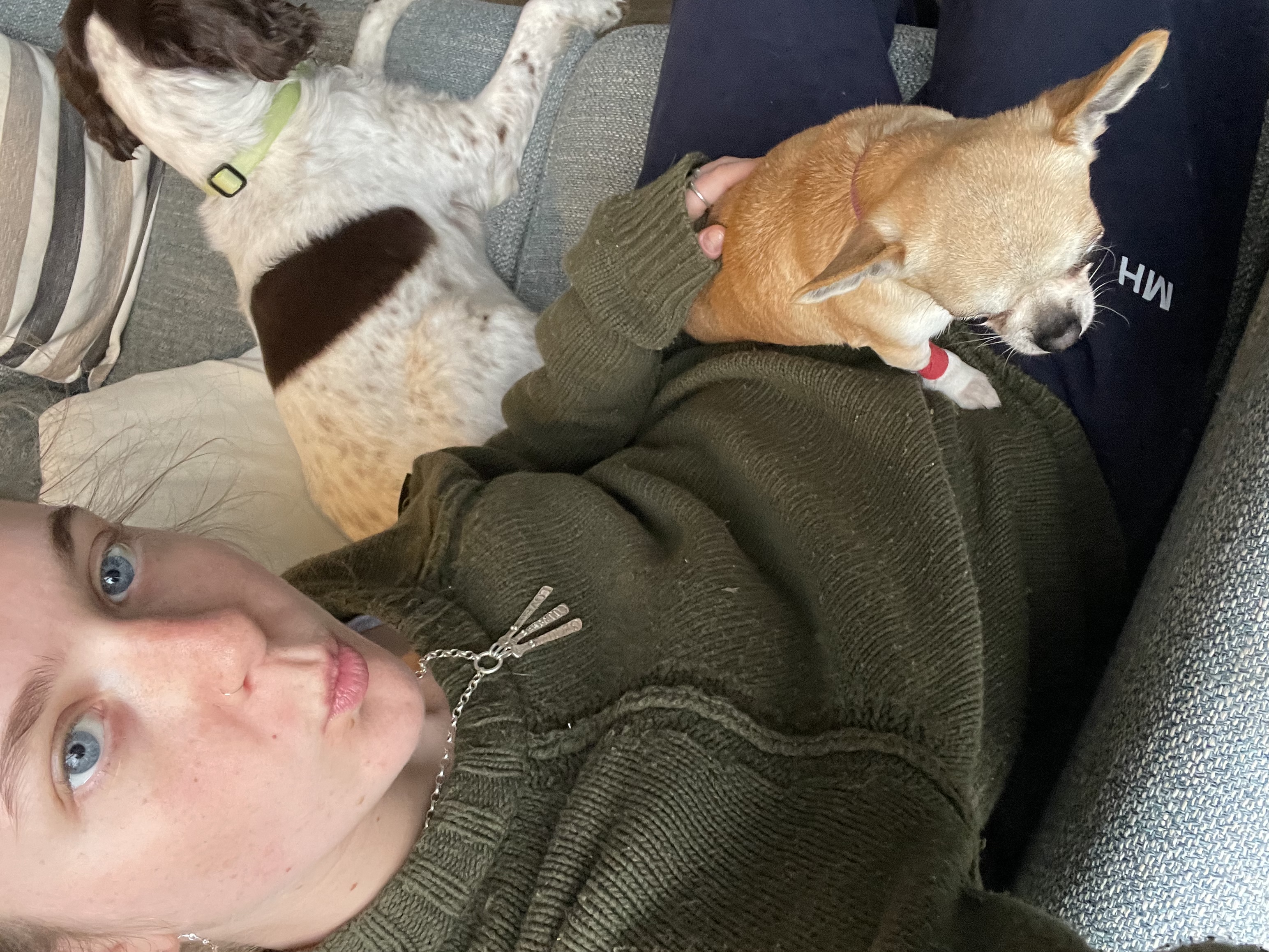 image-9
