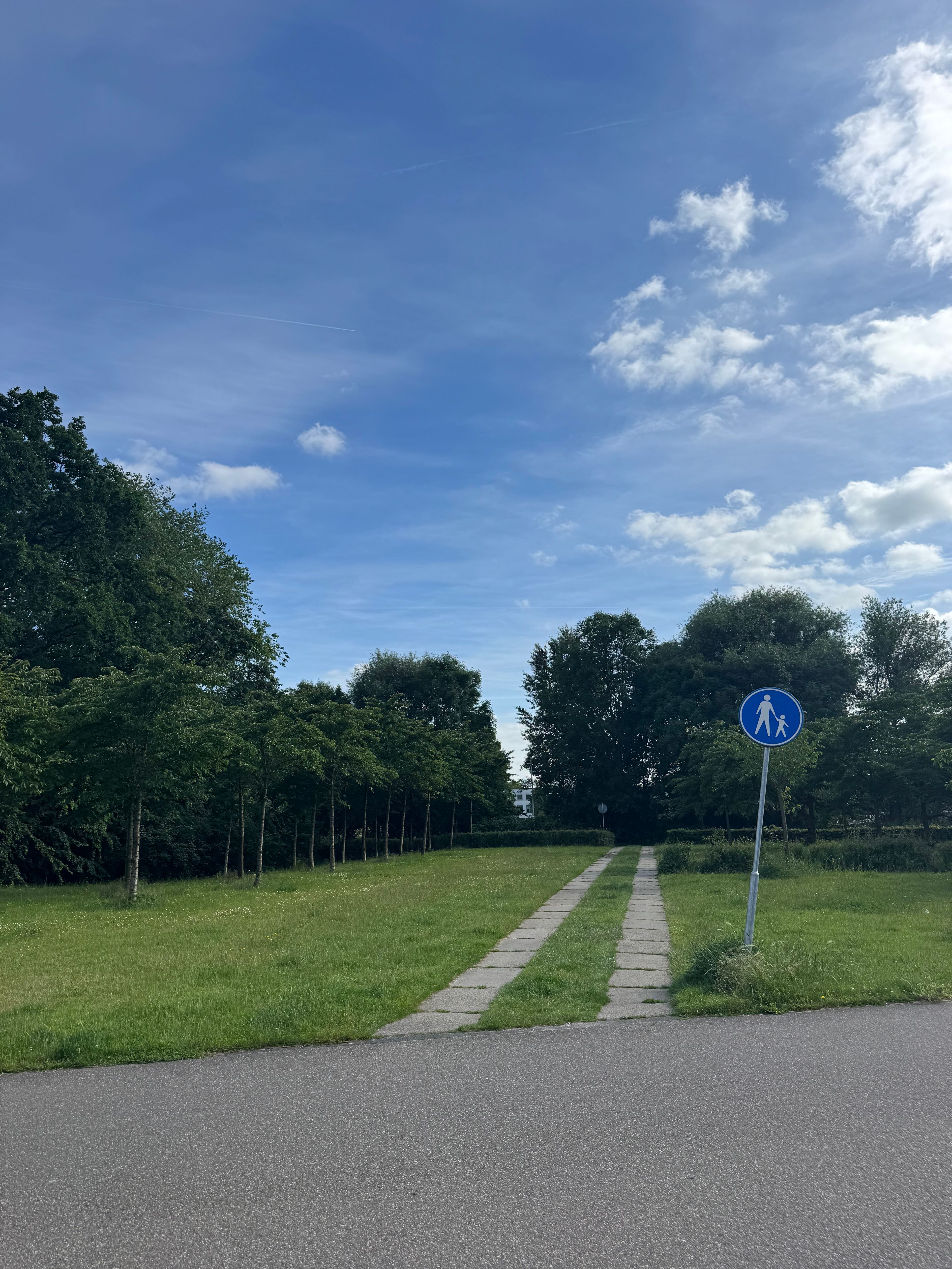 image-18