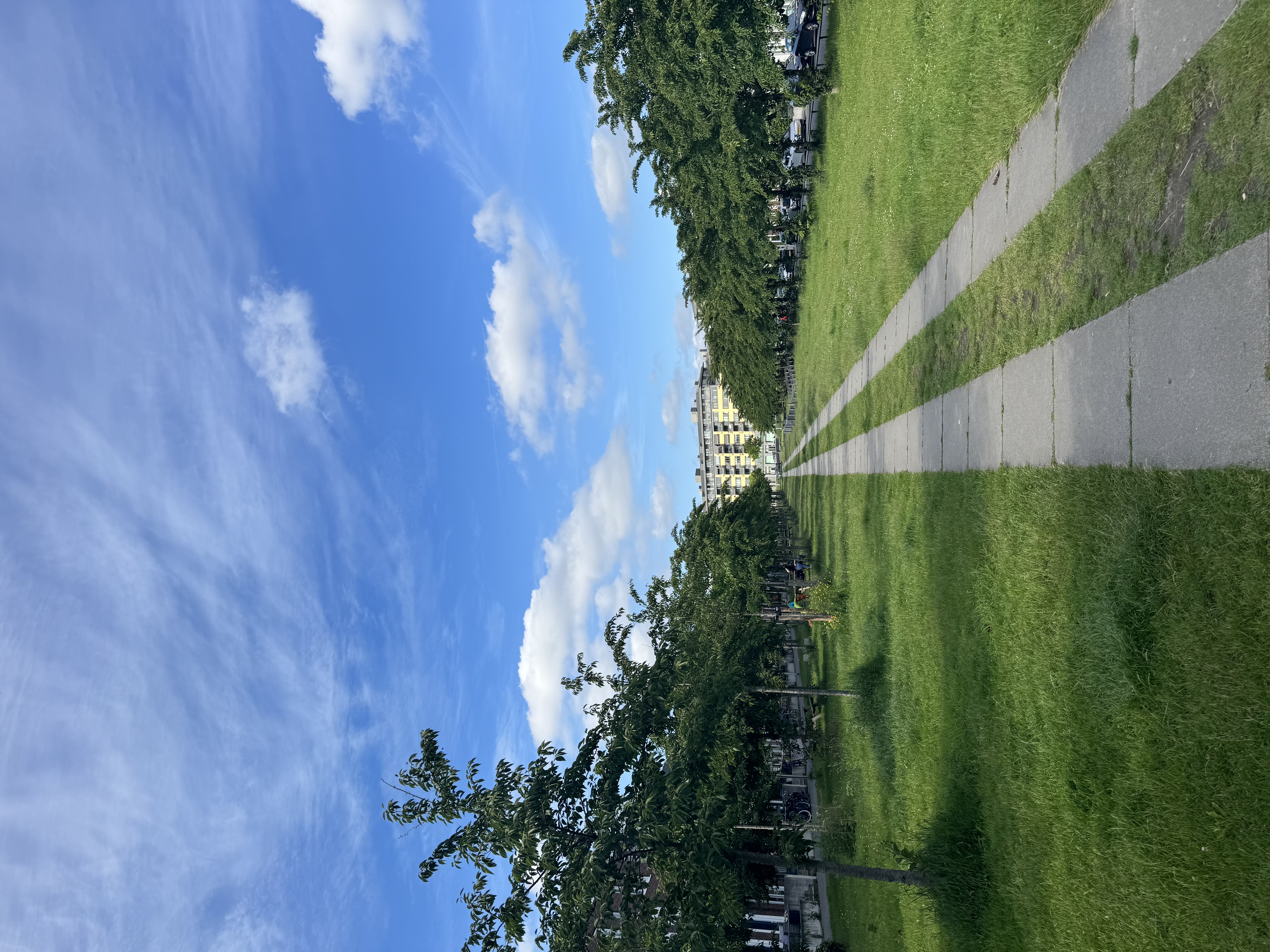 image-17