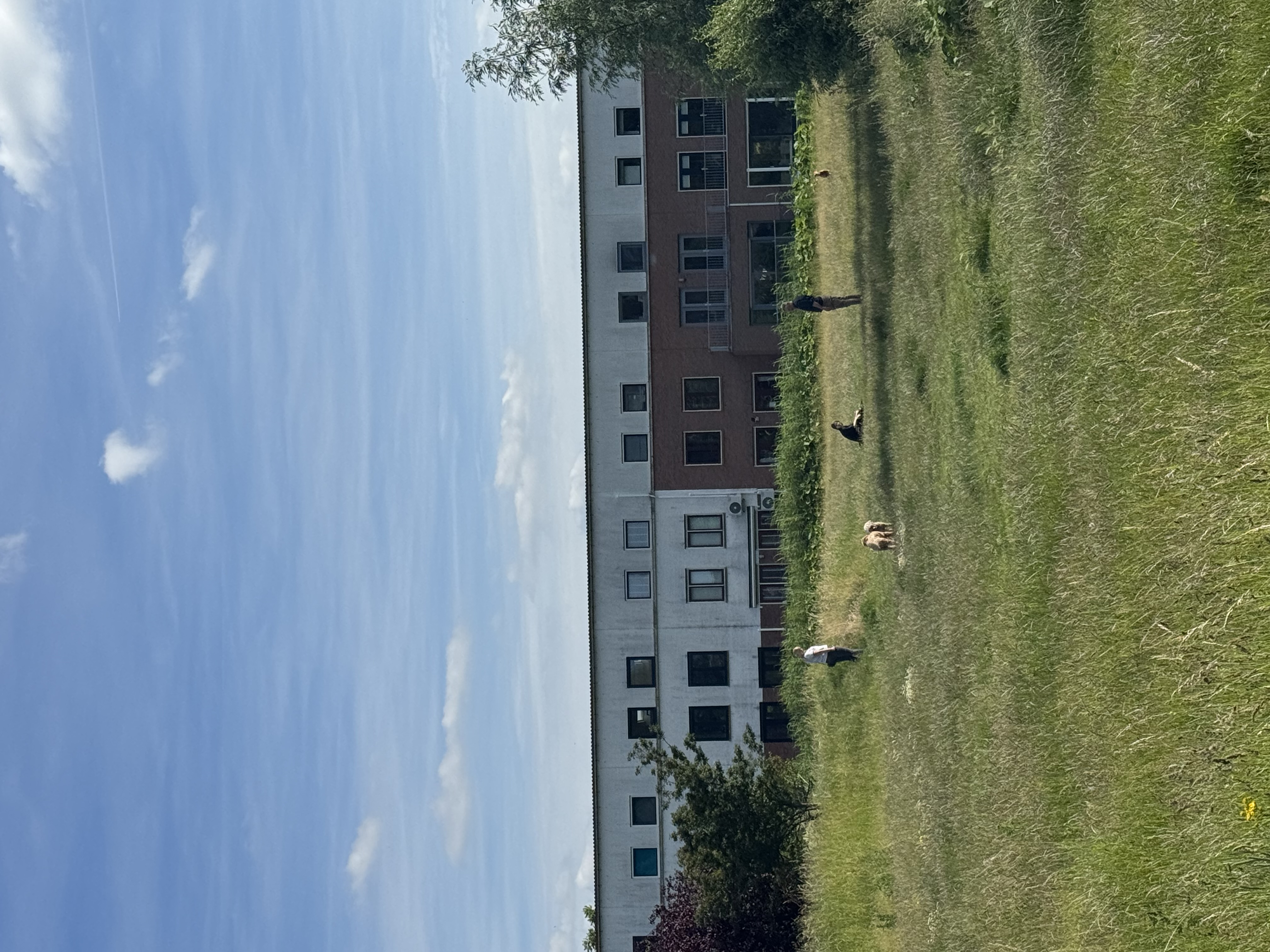 image-14