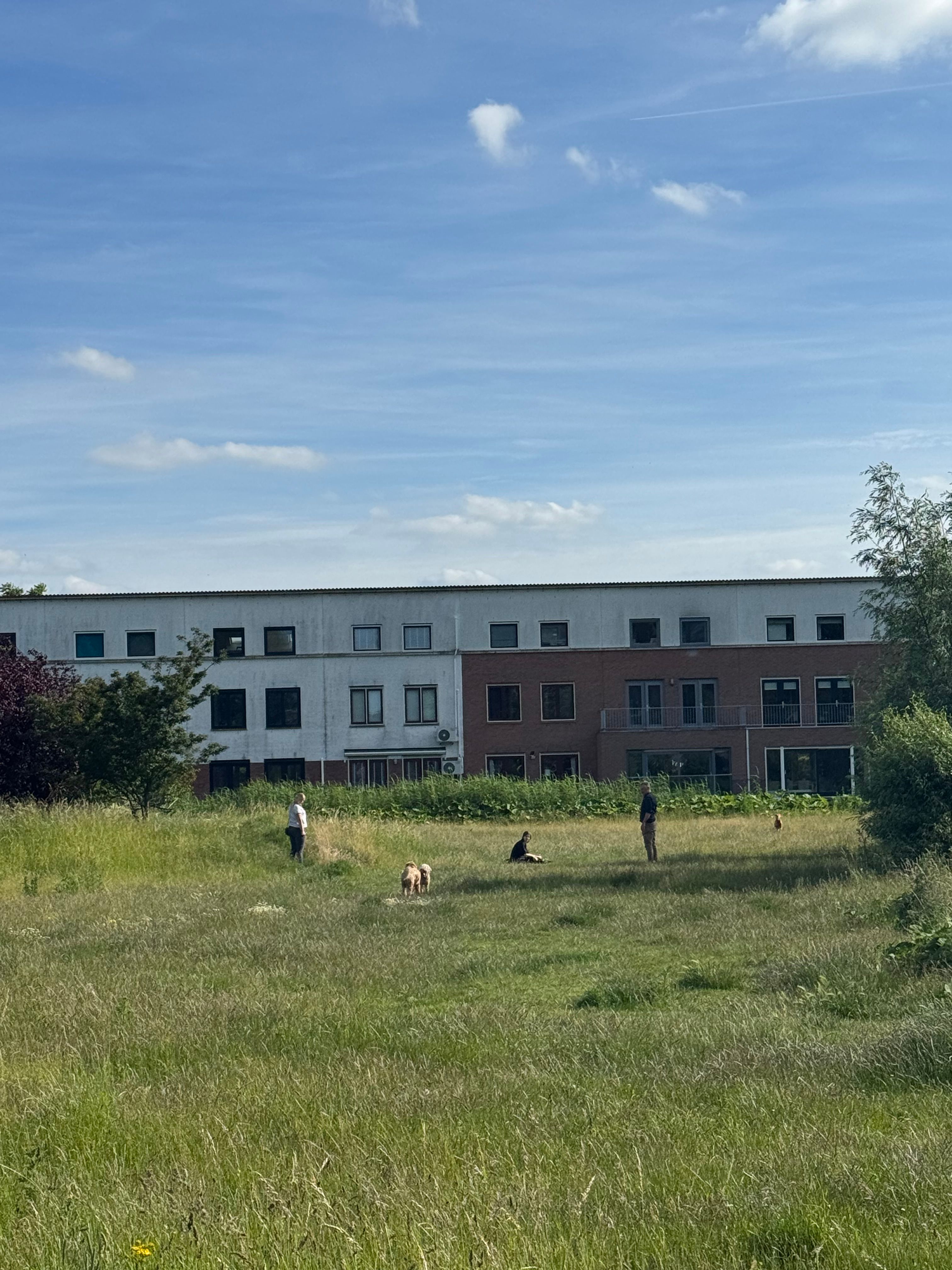 image-14