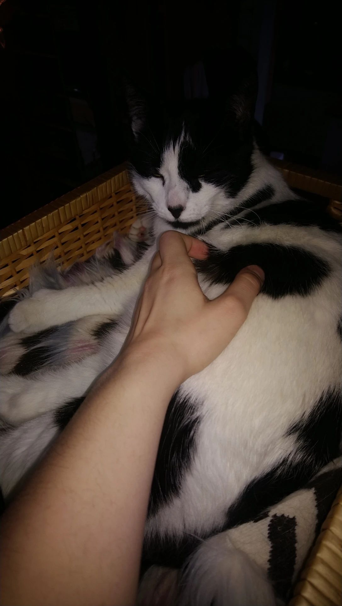 image-7