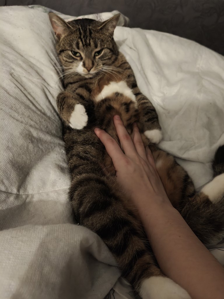 Tumppu