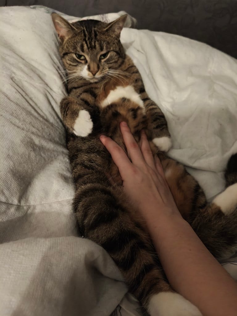 Tumppu