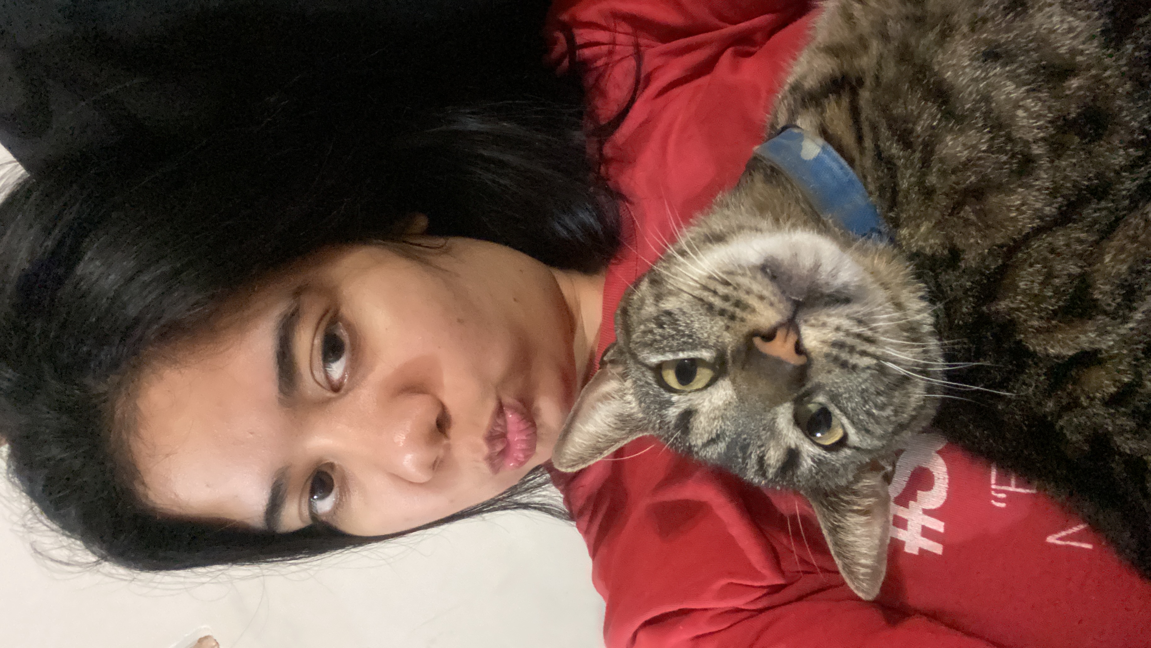 image-6