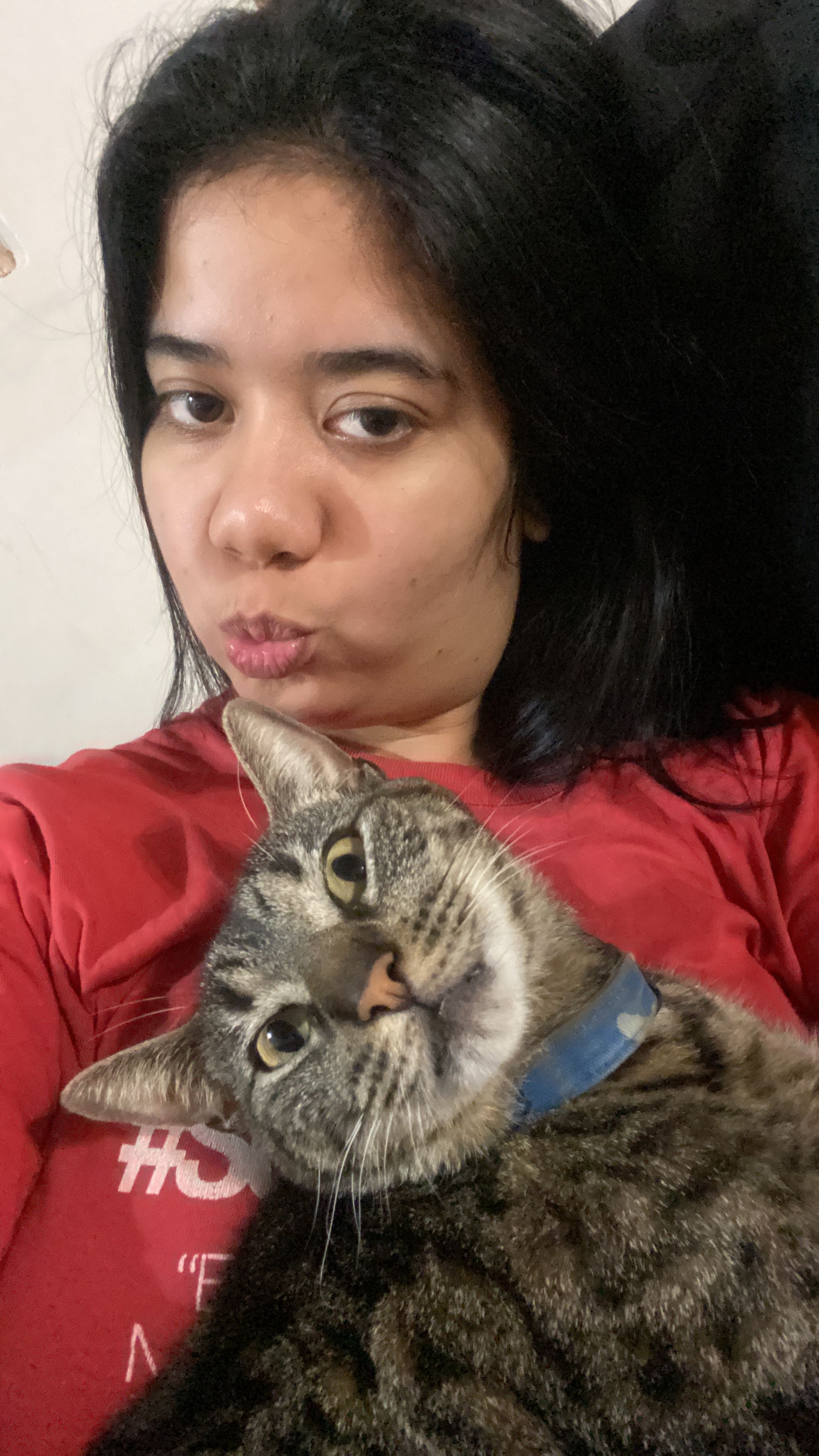 image-6