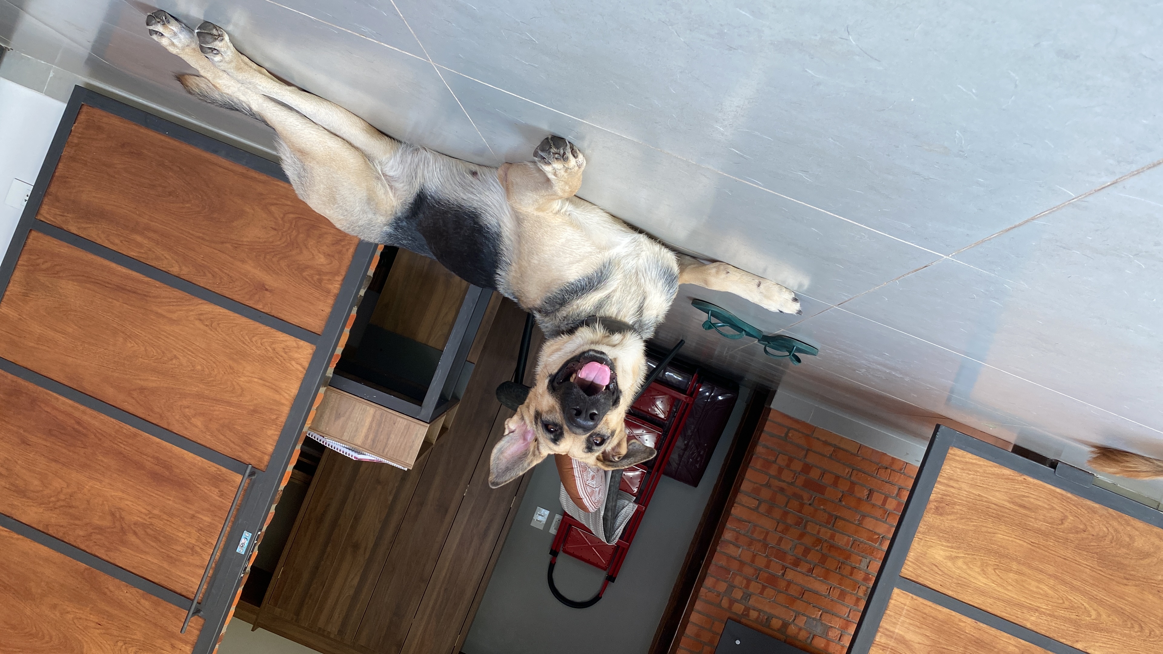 image-10