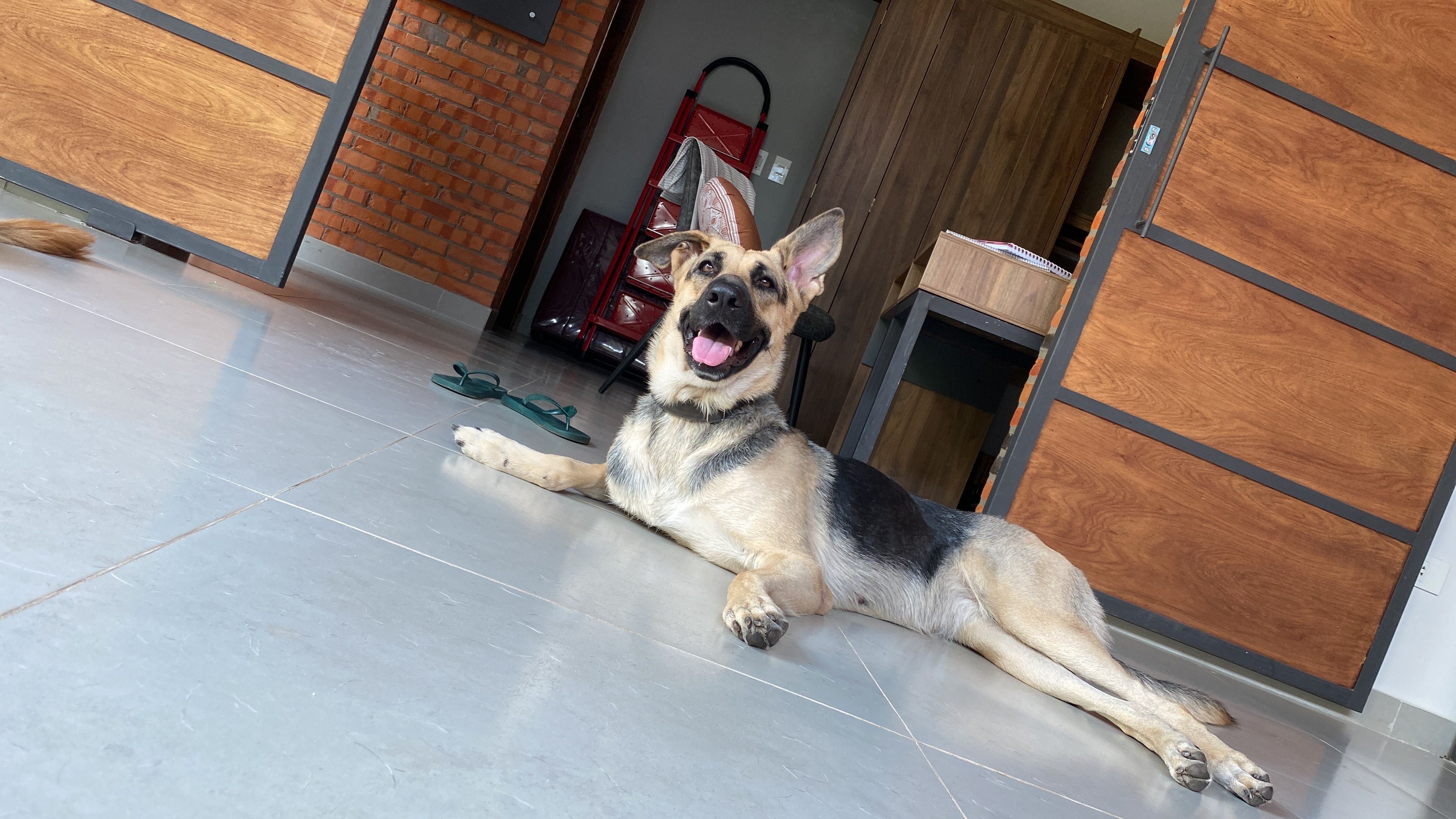 image-10