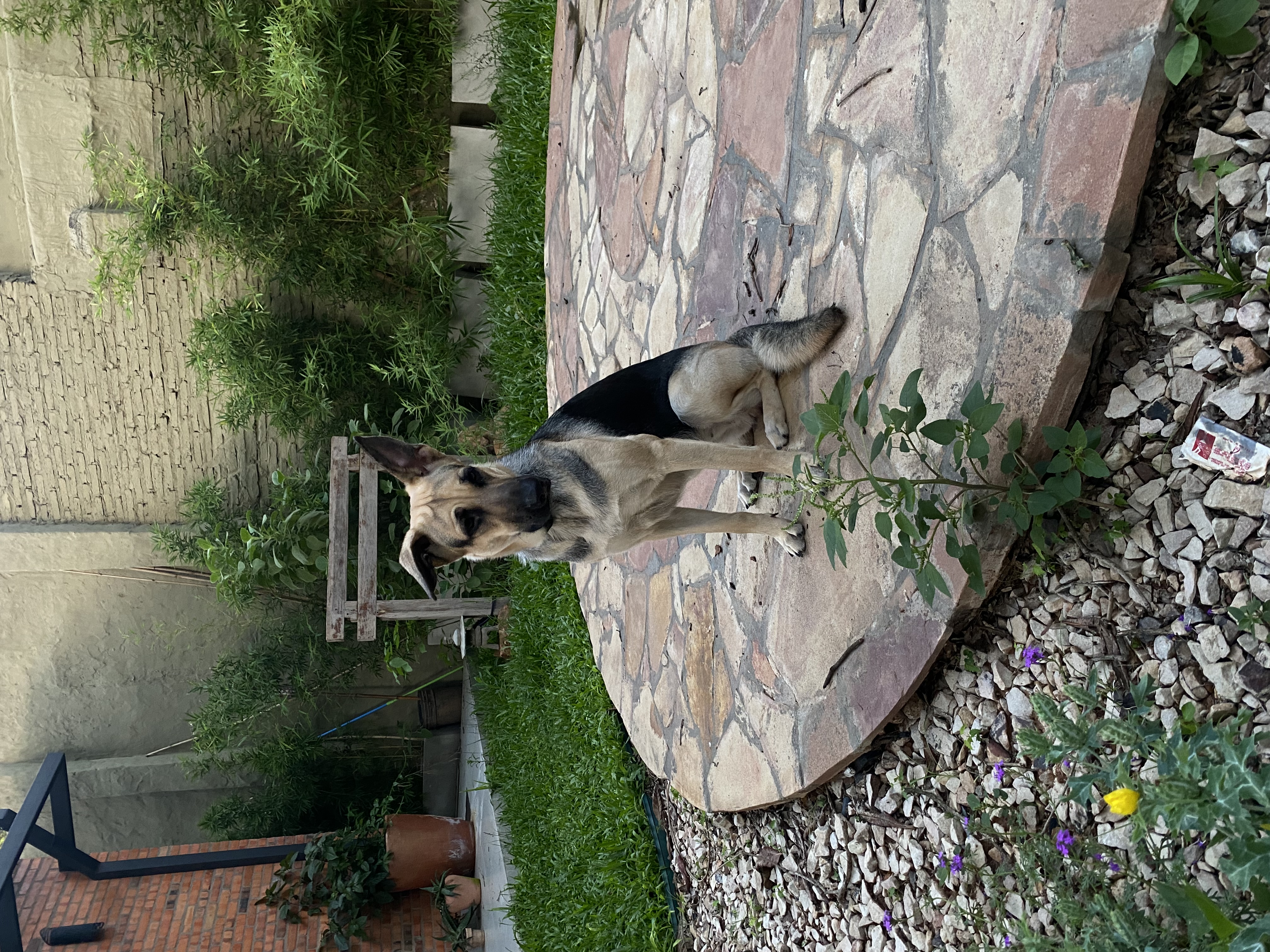 image-11
