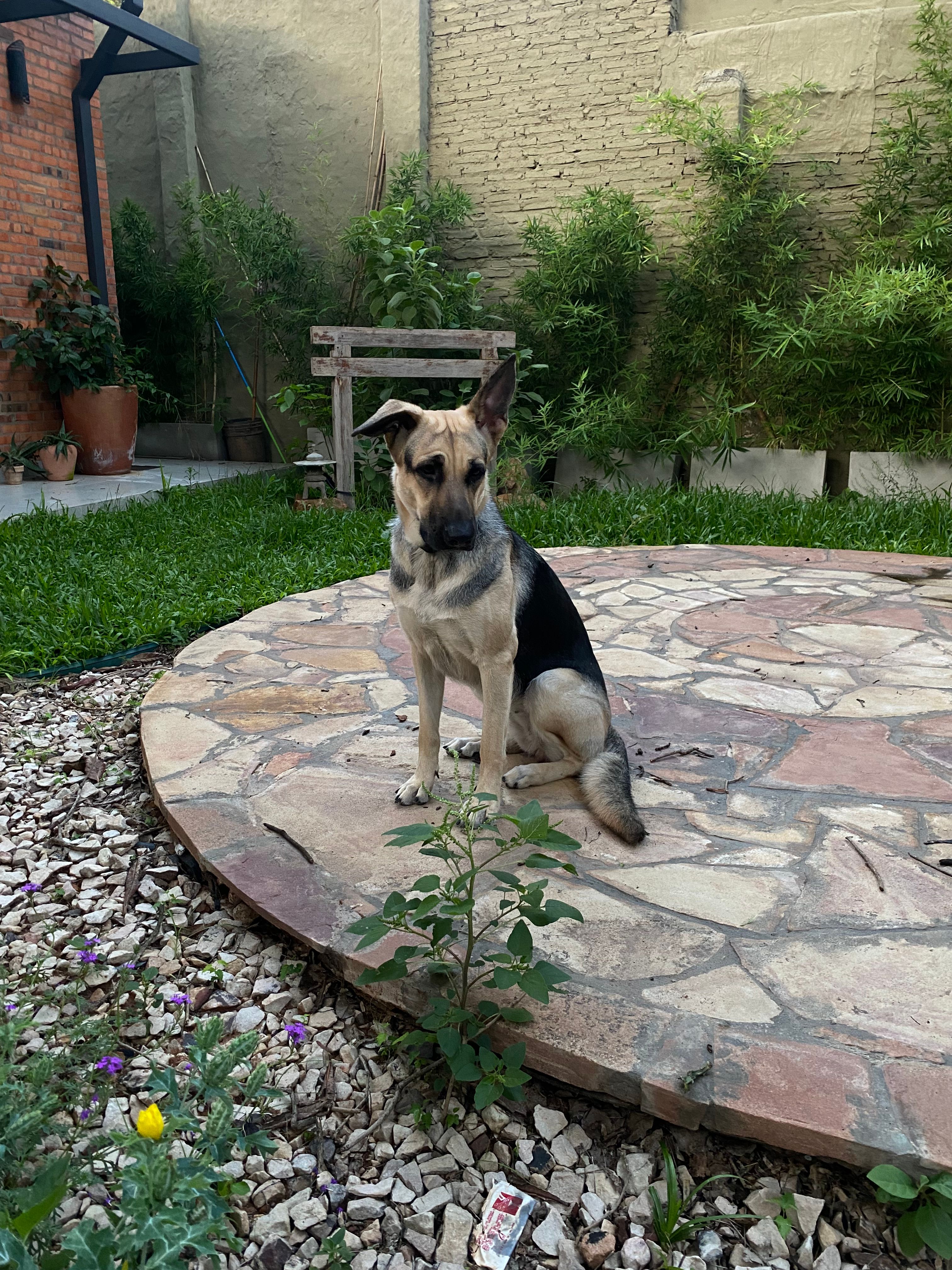 image-11