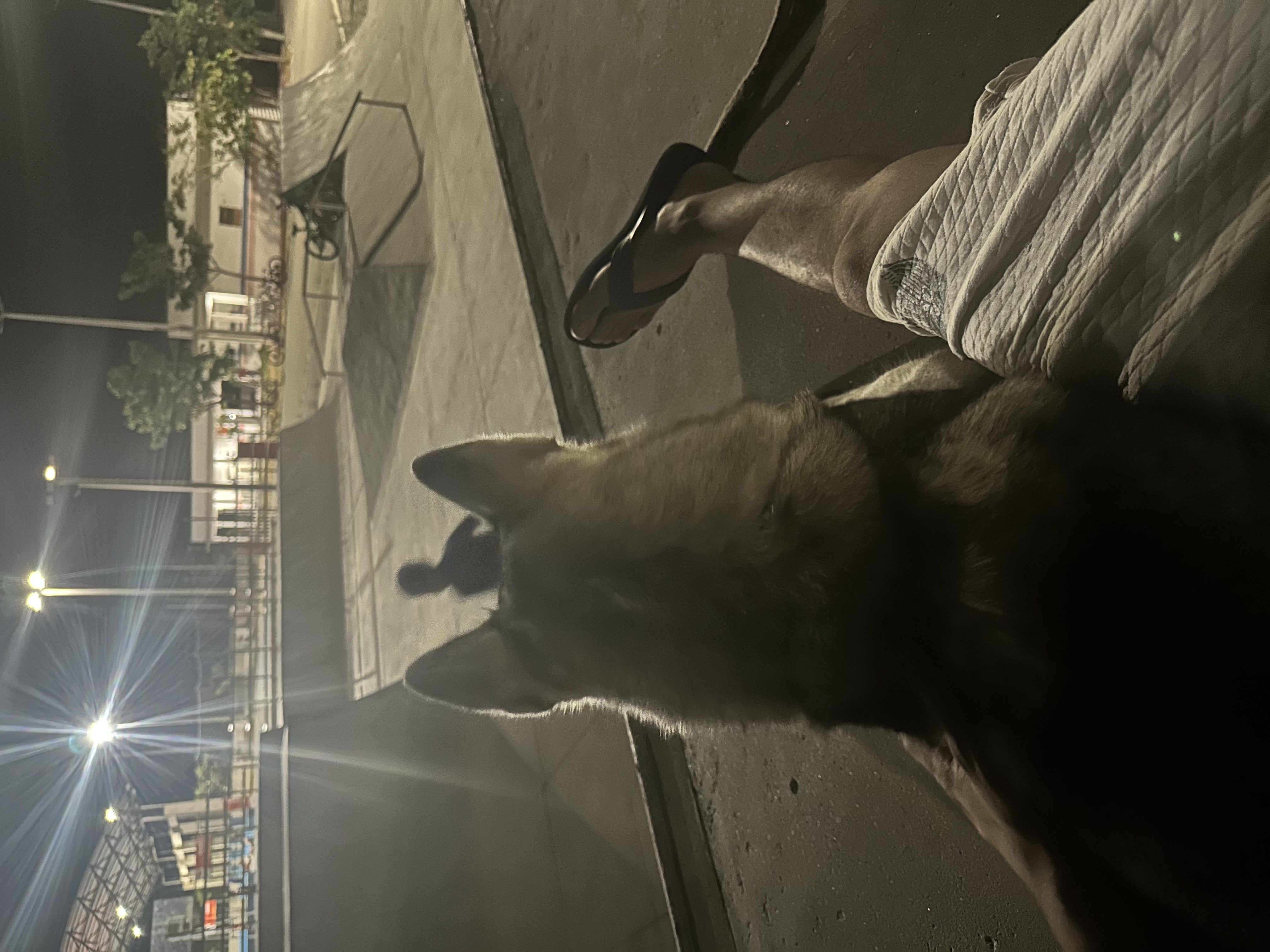 image-6