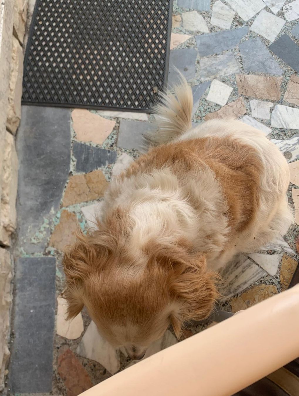 image-8