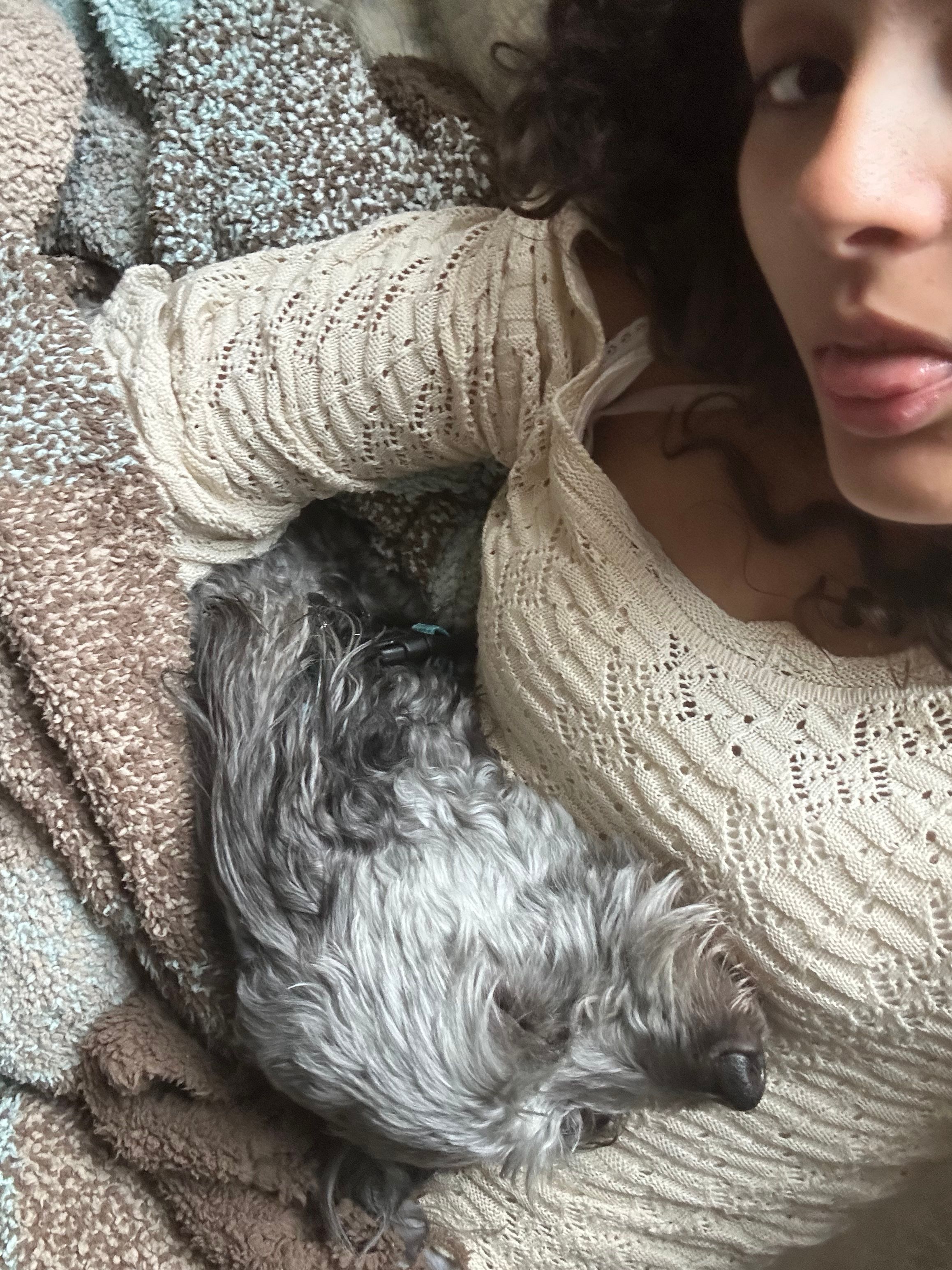 image-8