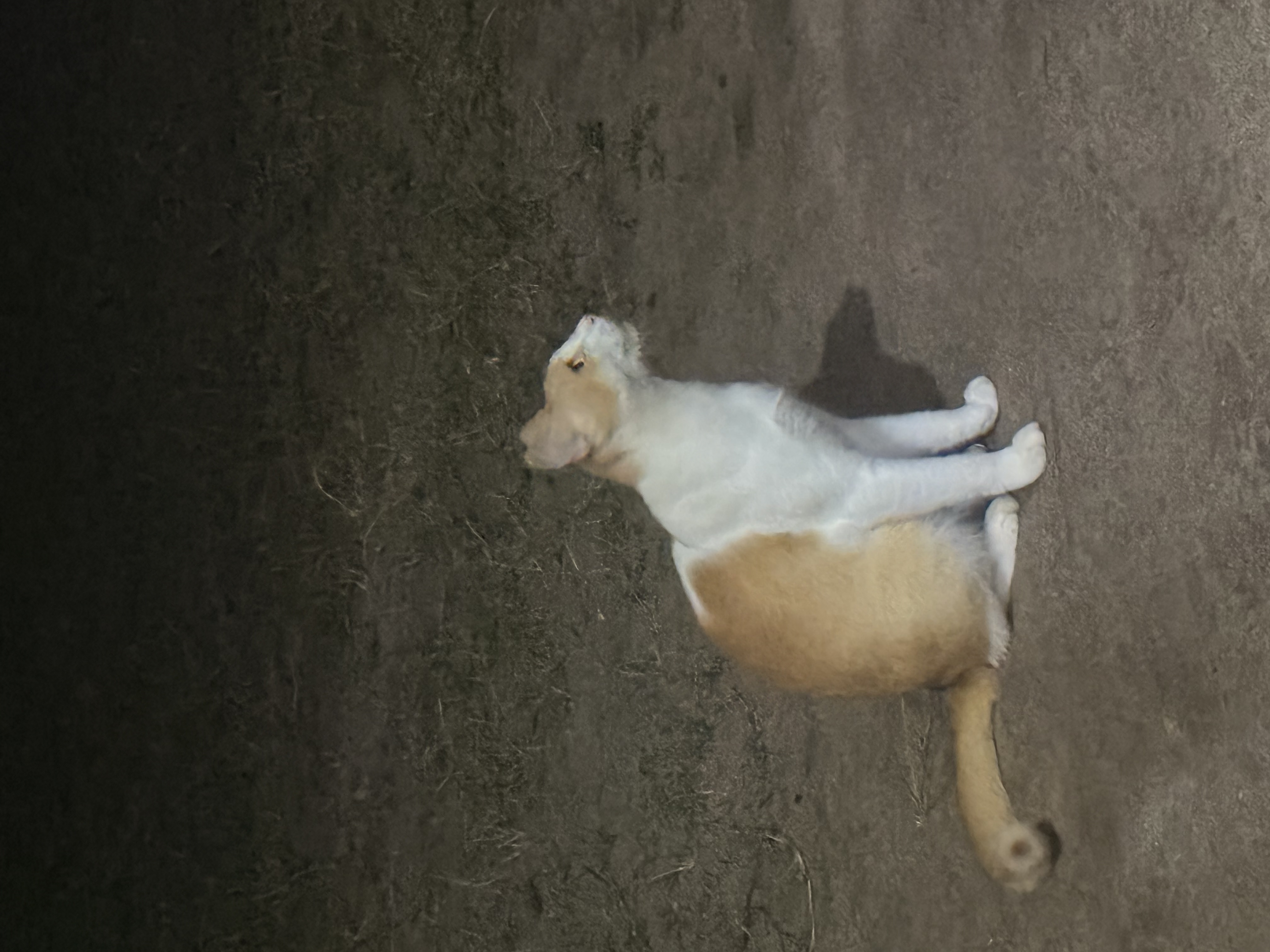 image-14