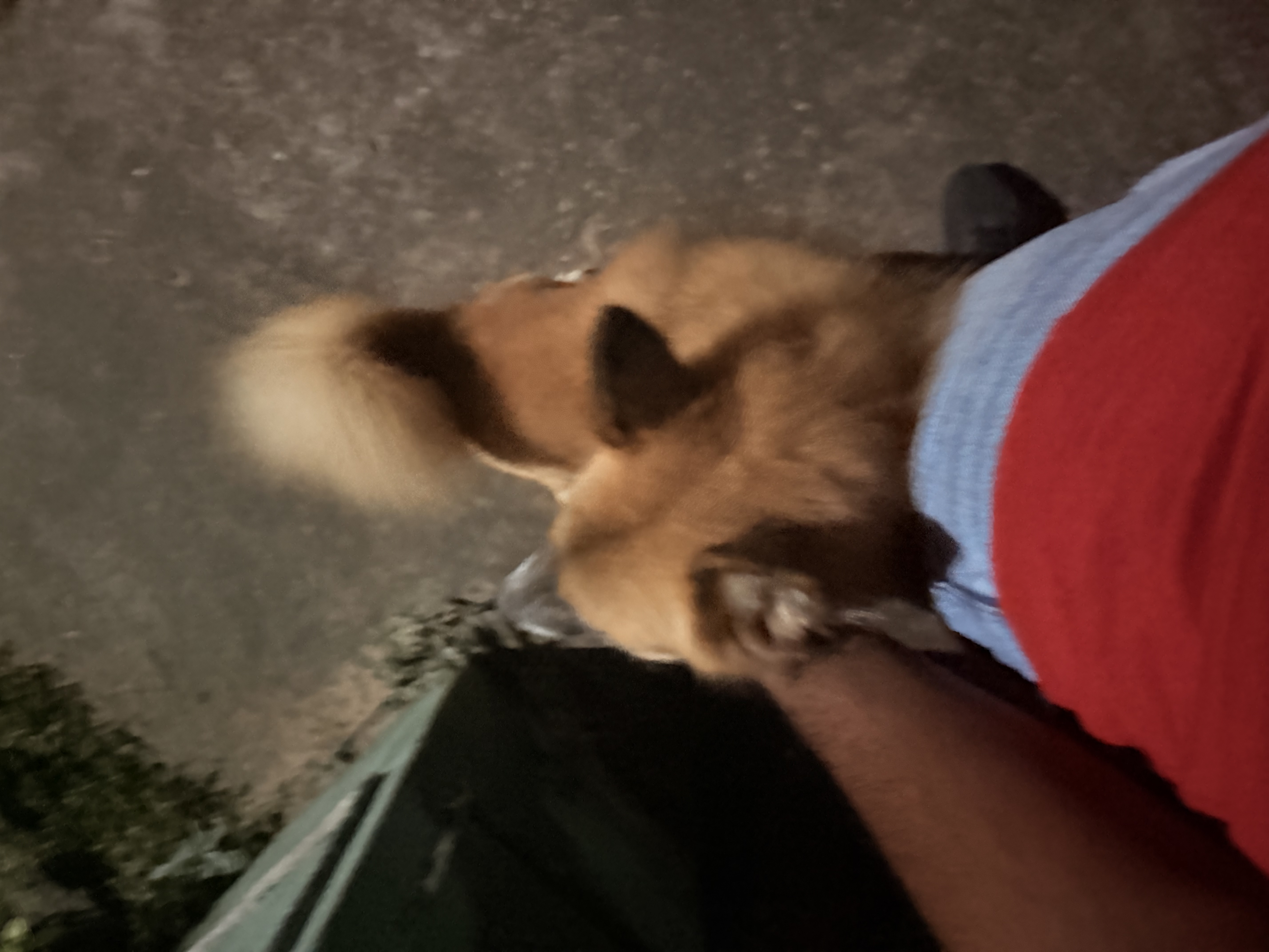 image-8