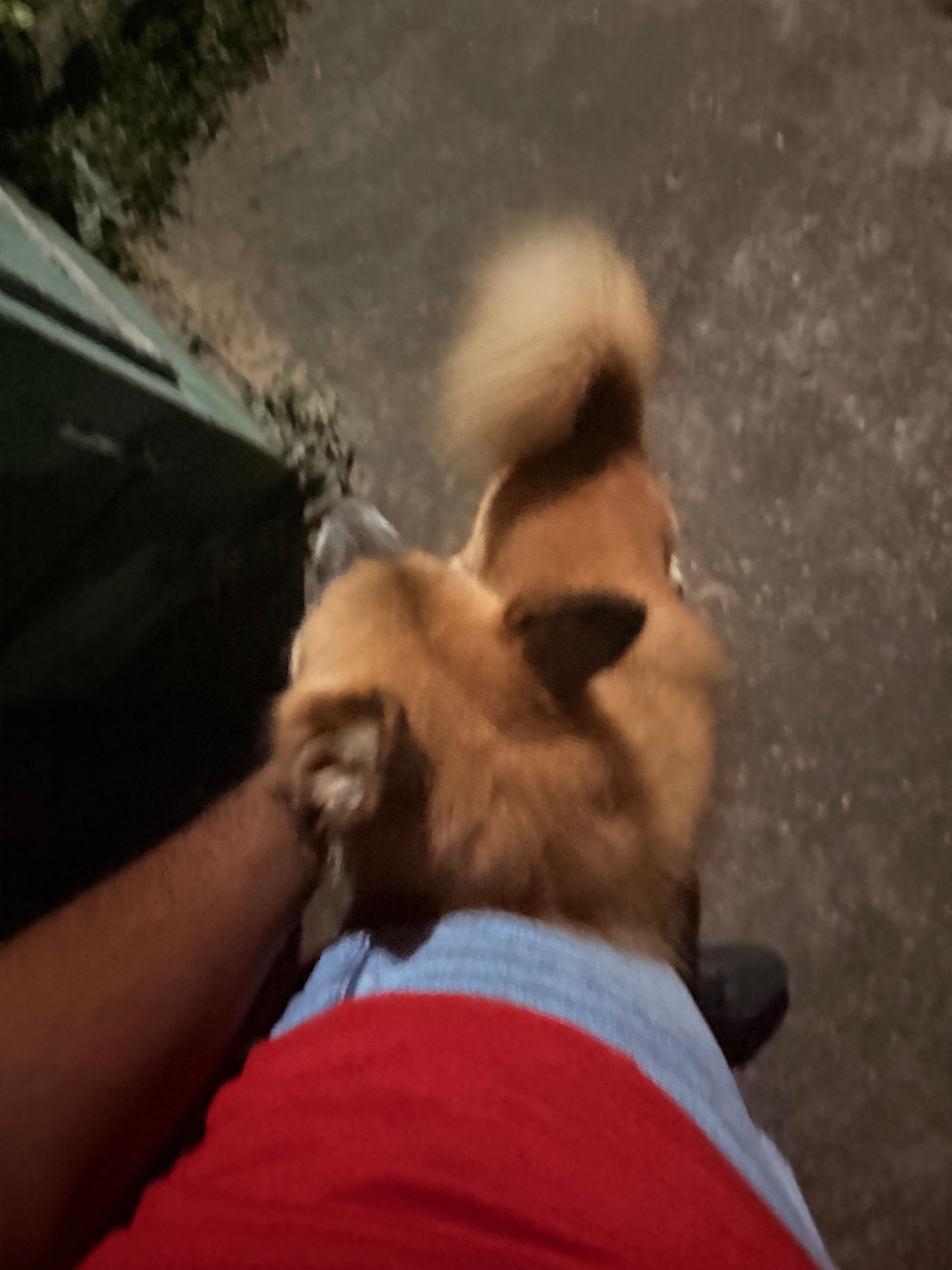 image-8