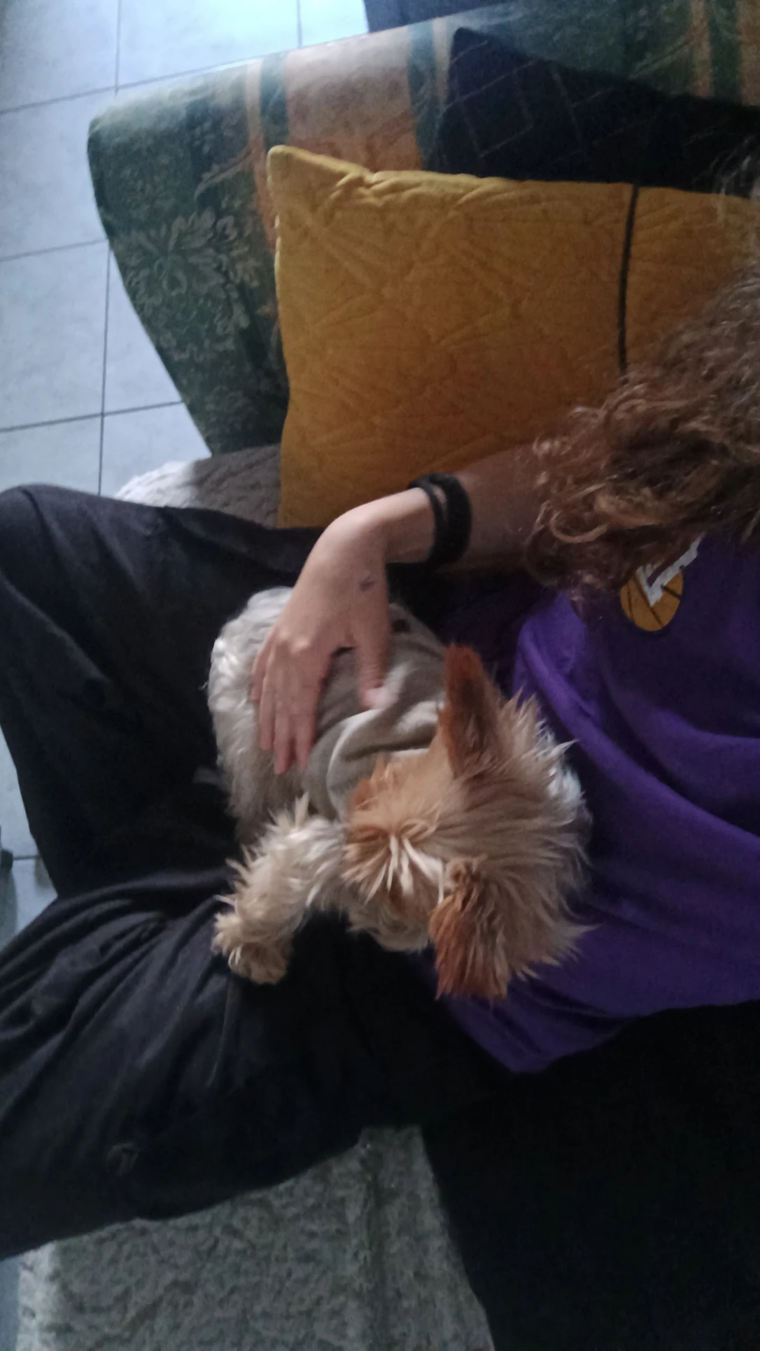 image-23