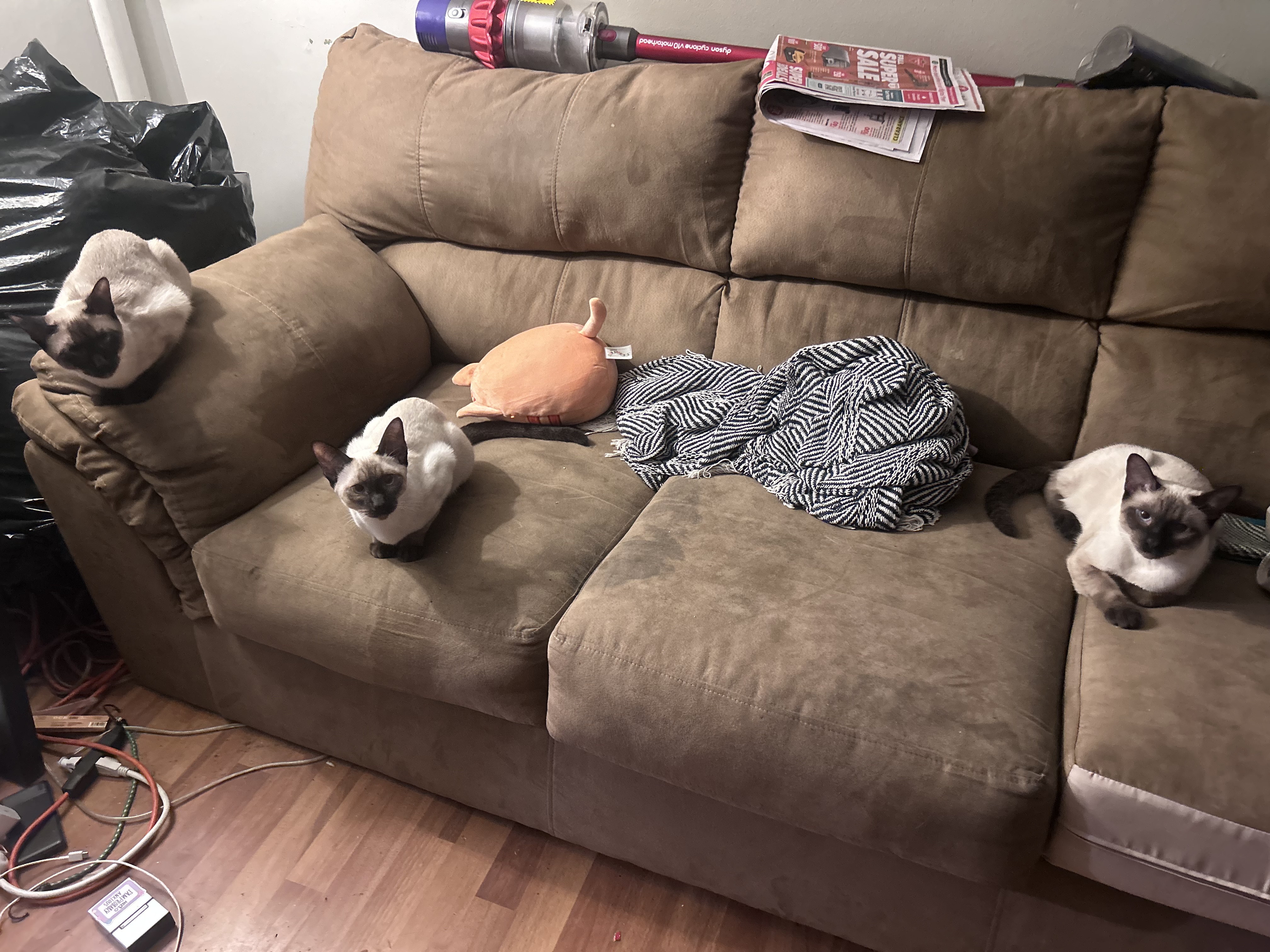 image-11