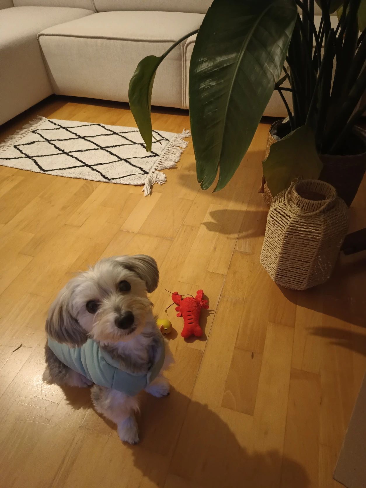 image-10