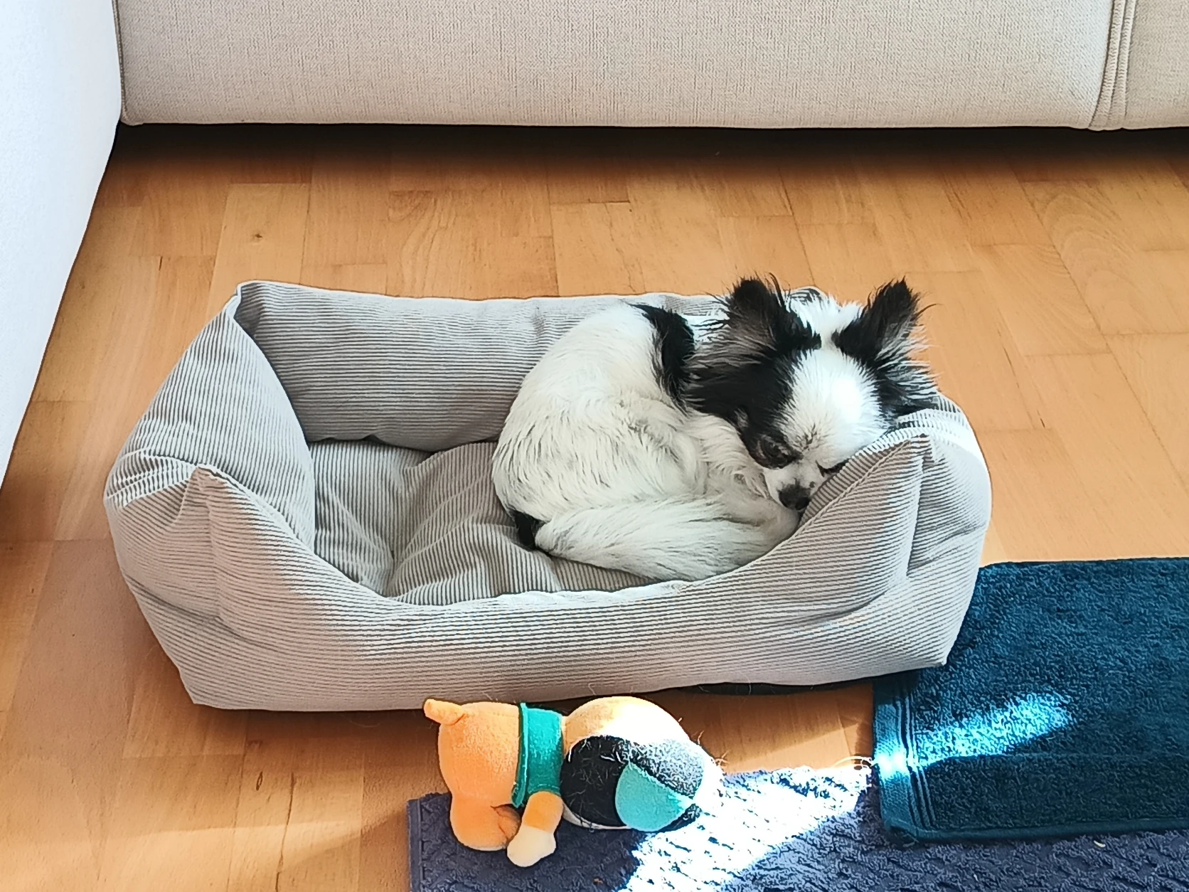 image-28