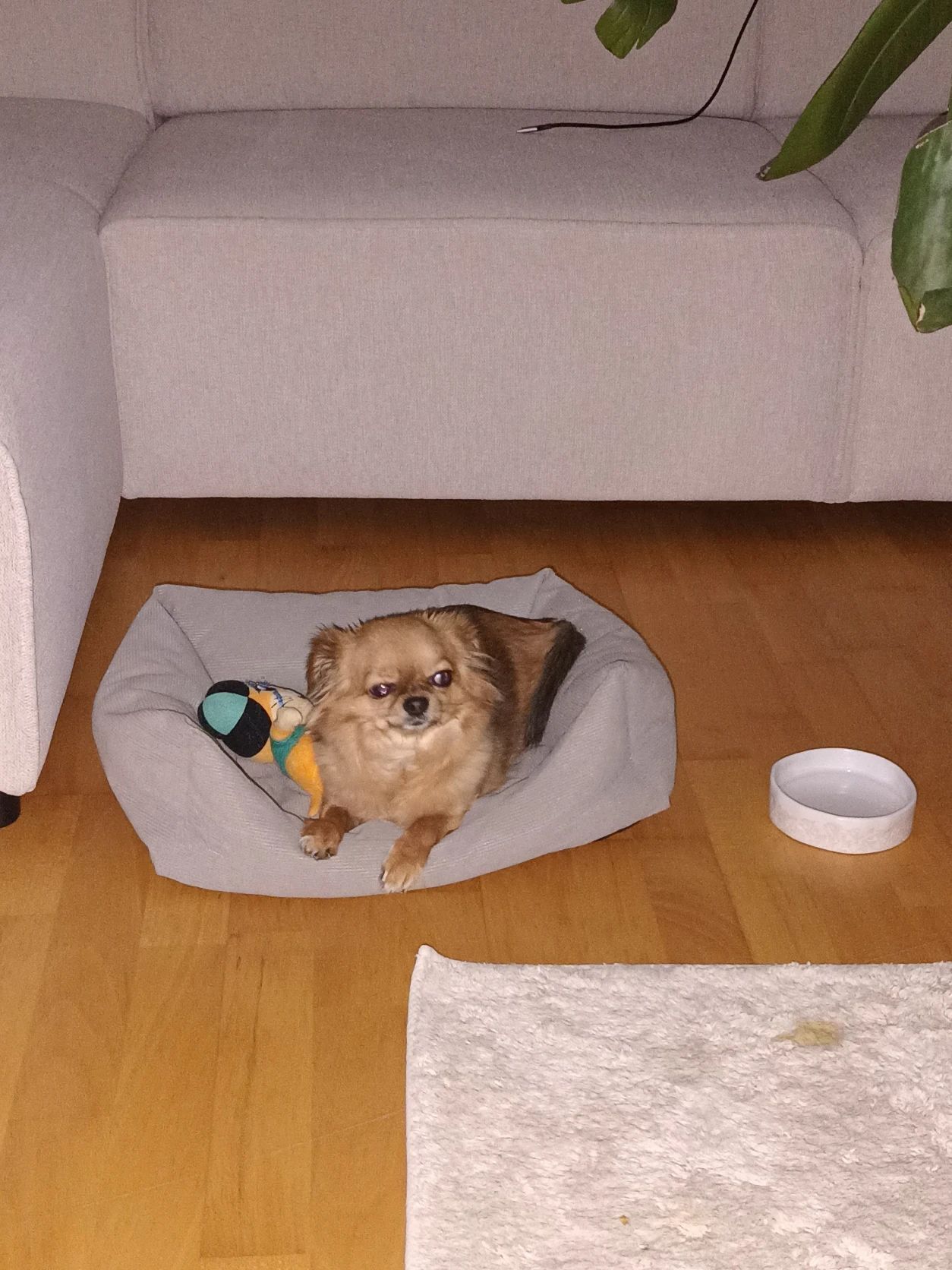 image-13