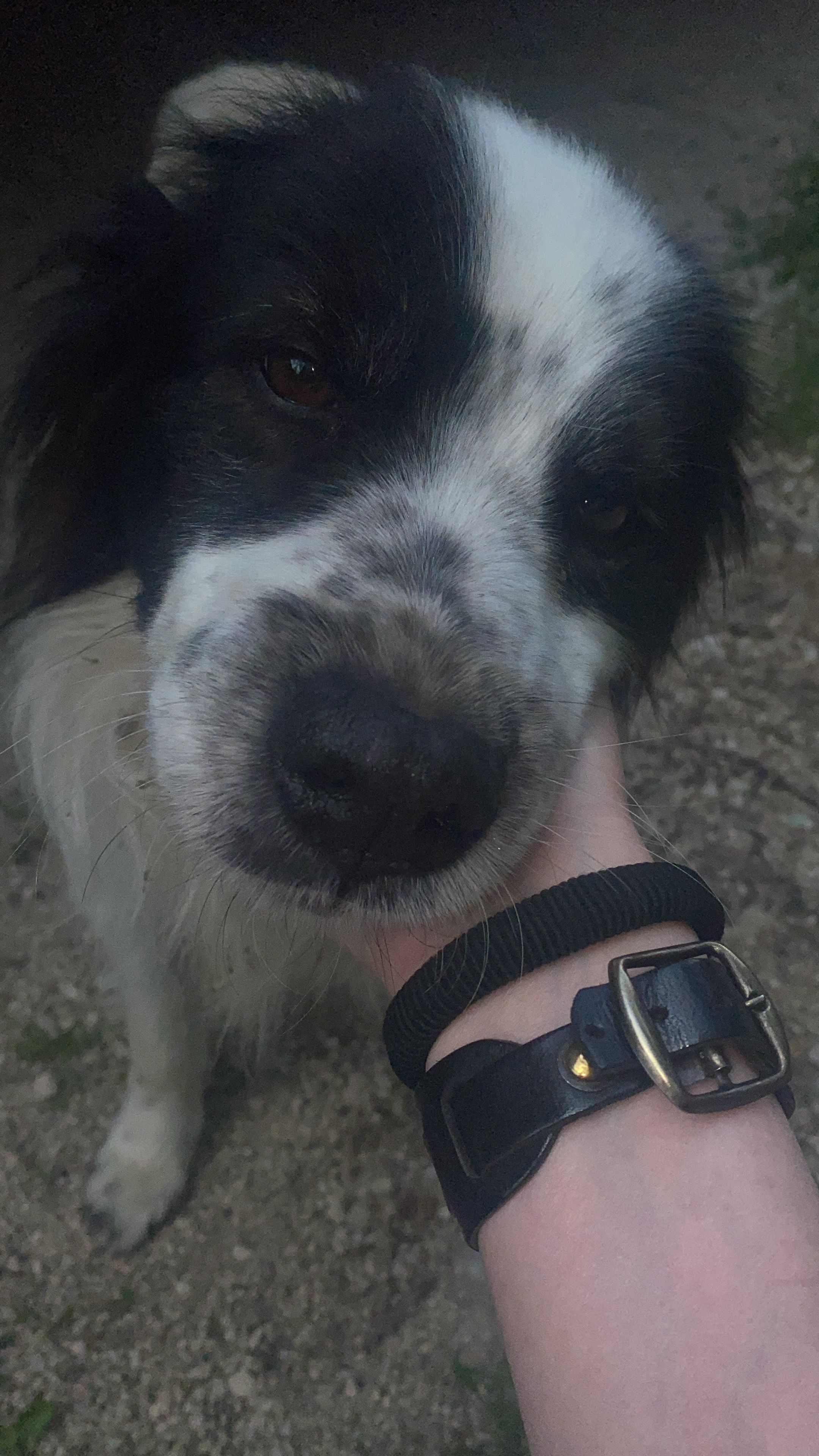 image-5