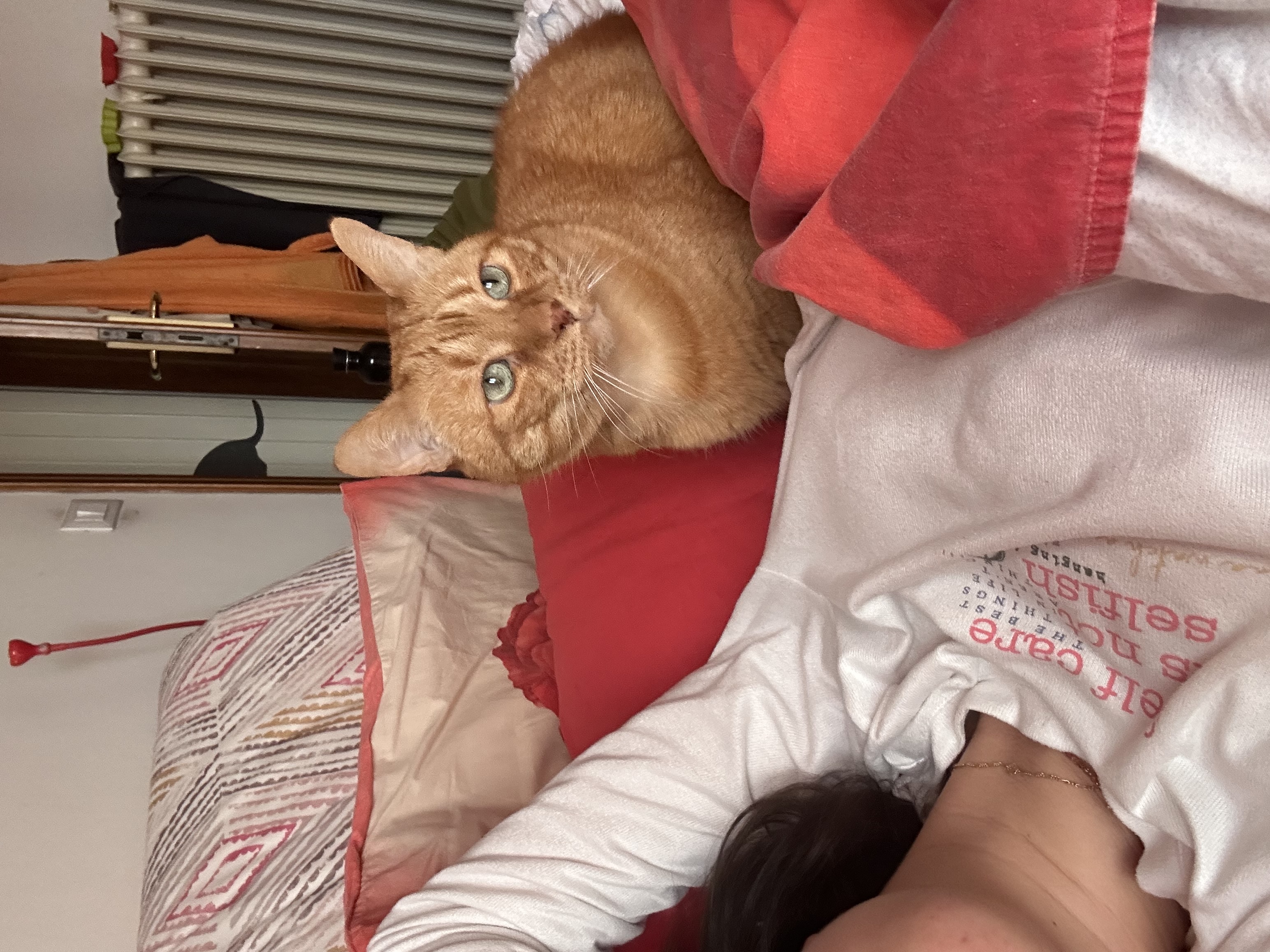 image-8