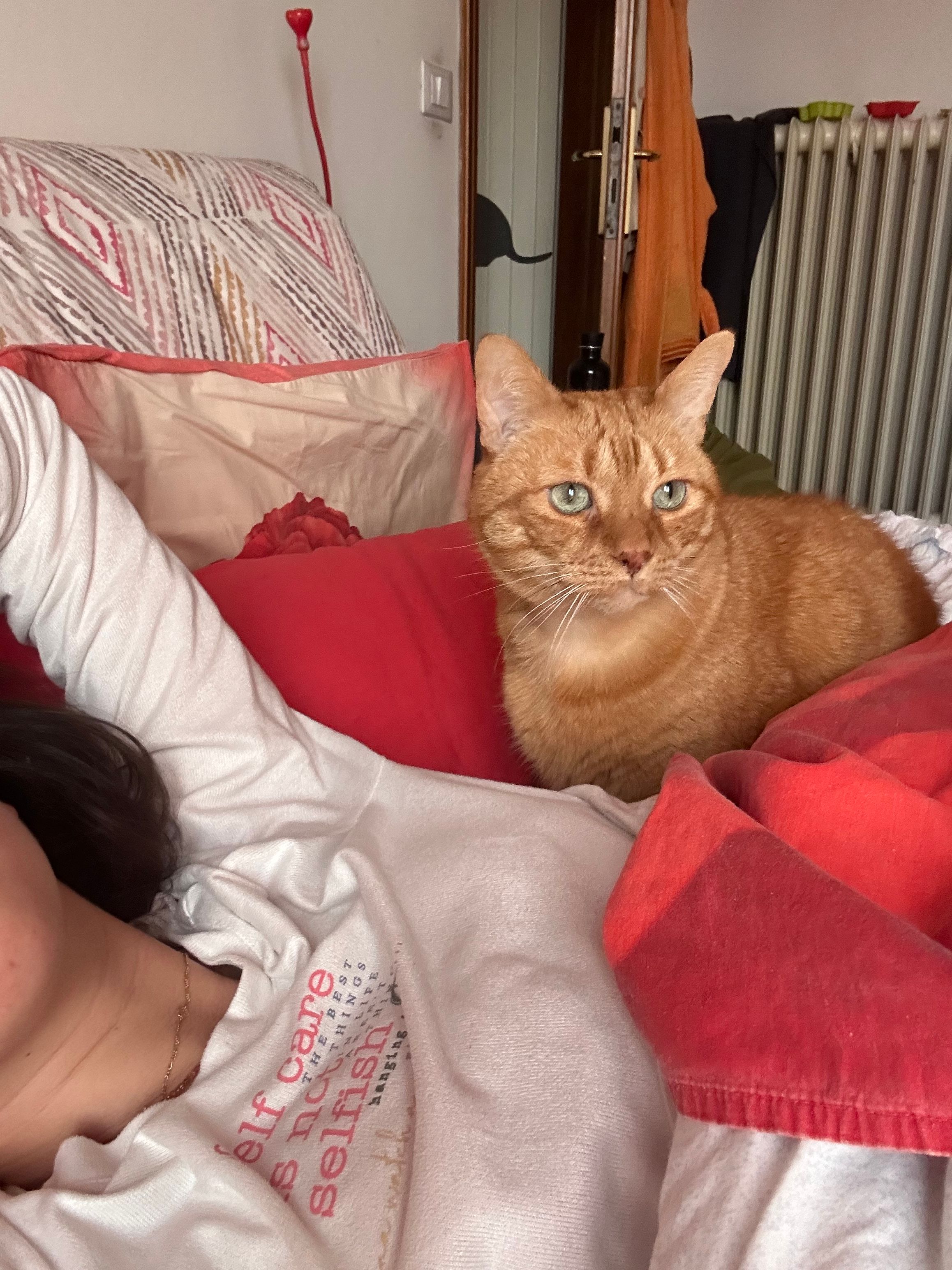 image-8