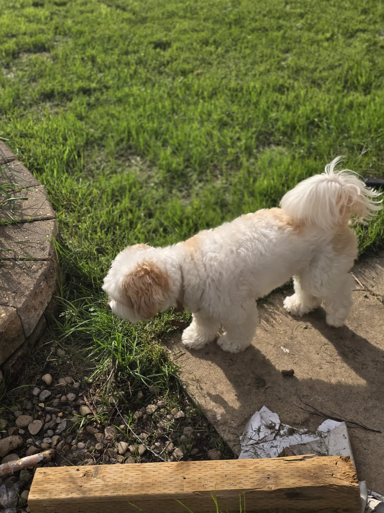 image-9