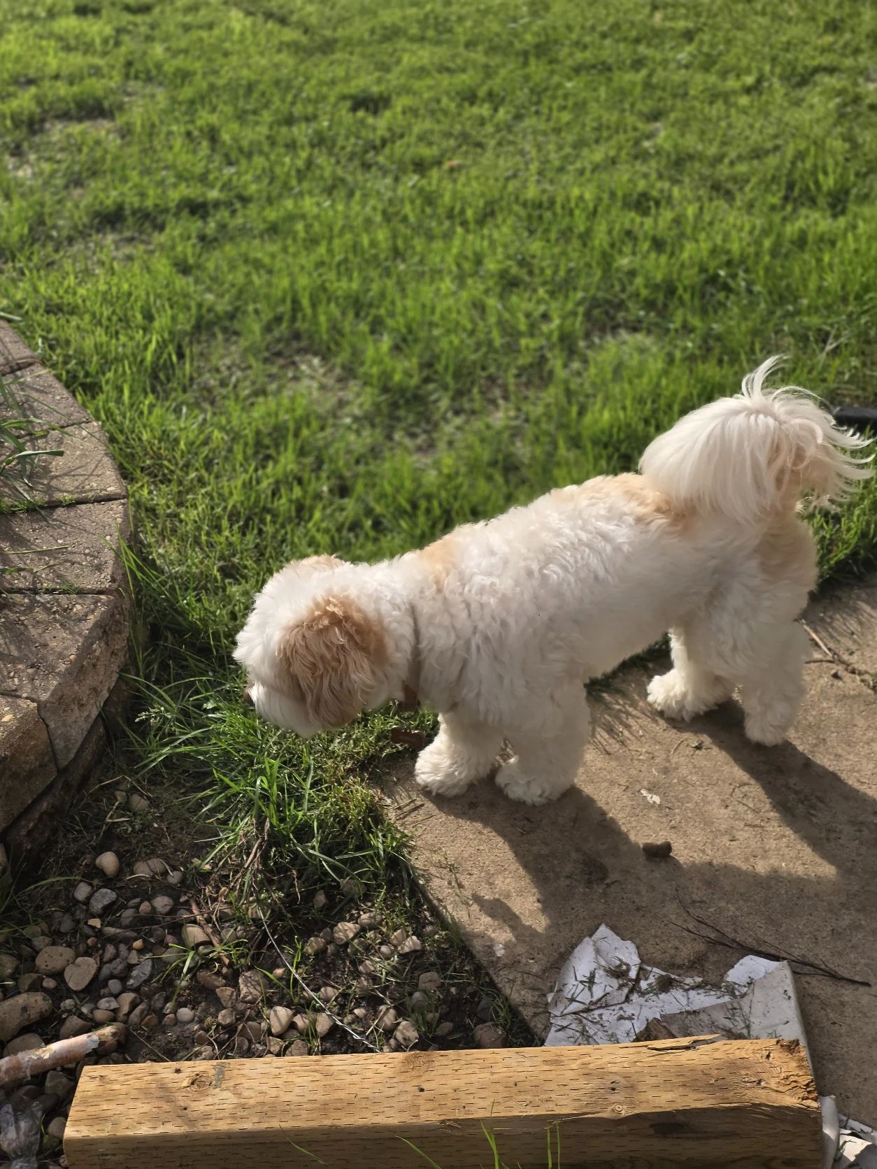 image-9