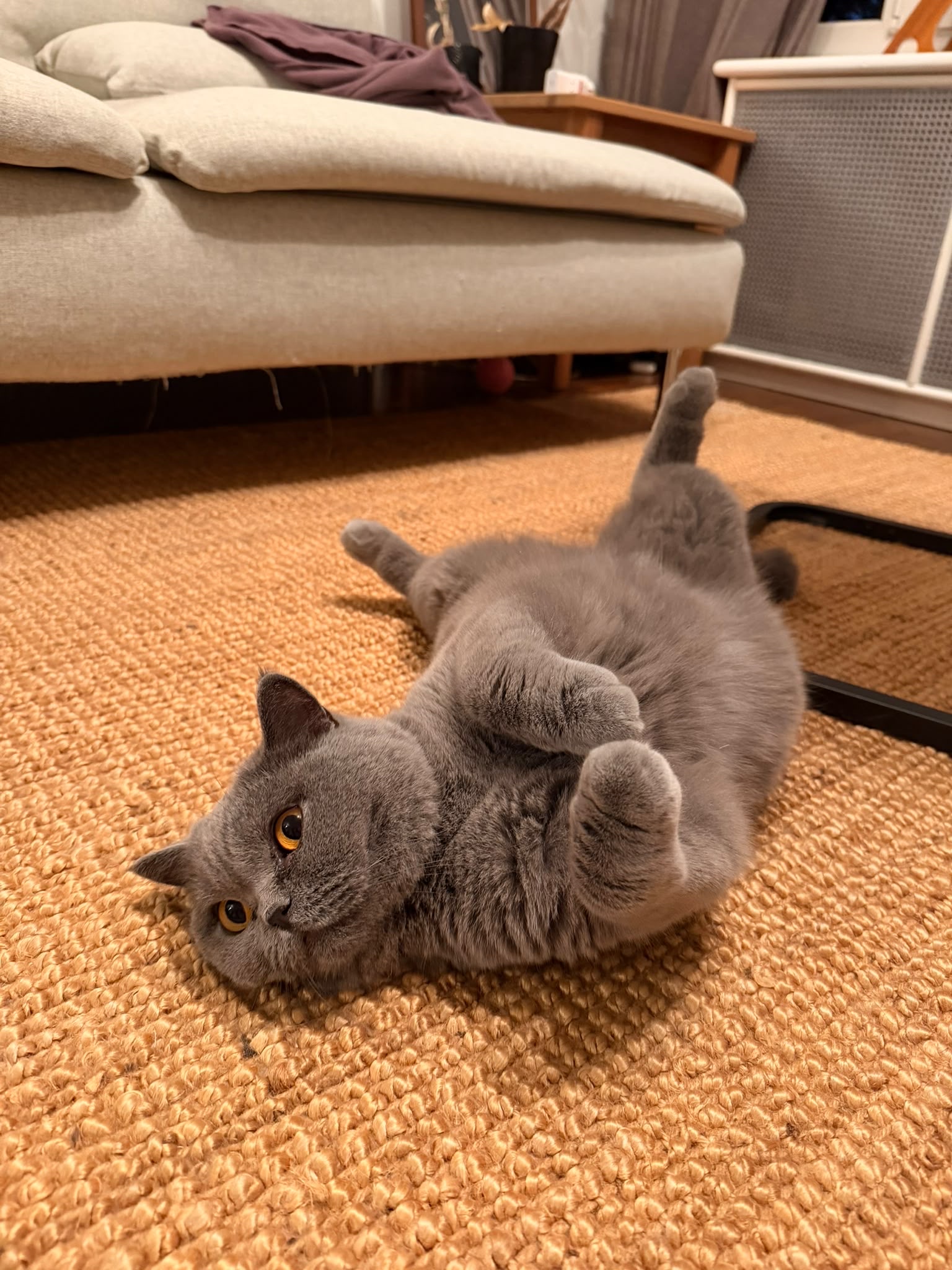 image-9