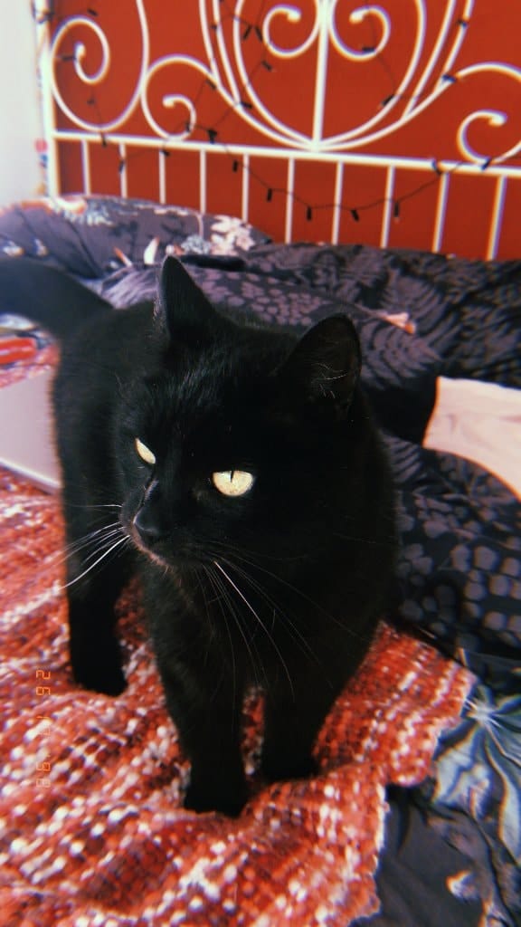 Sabina